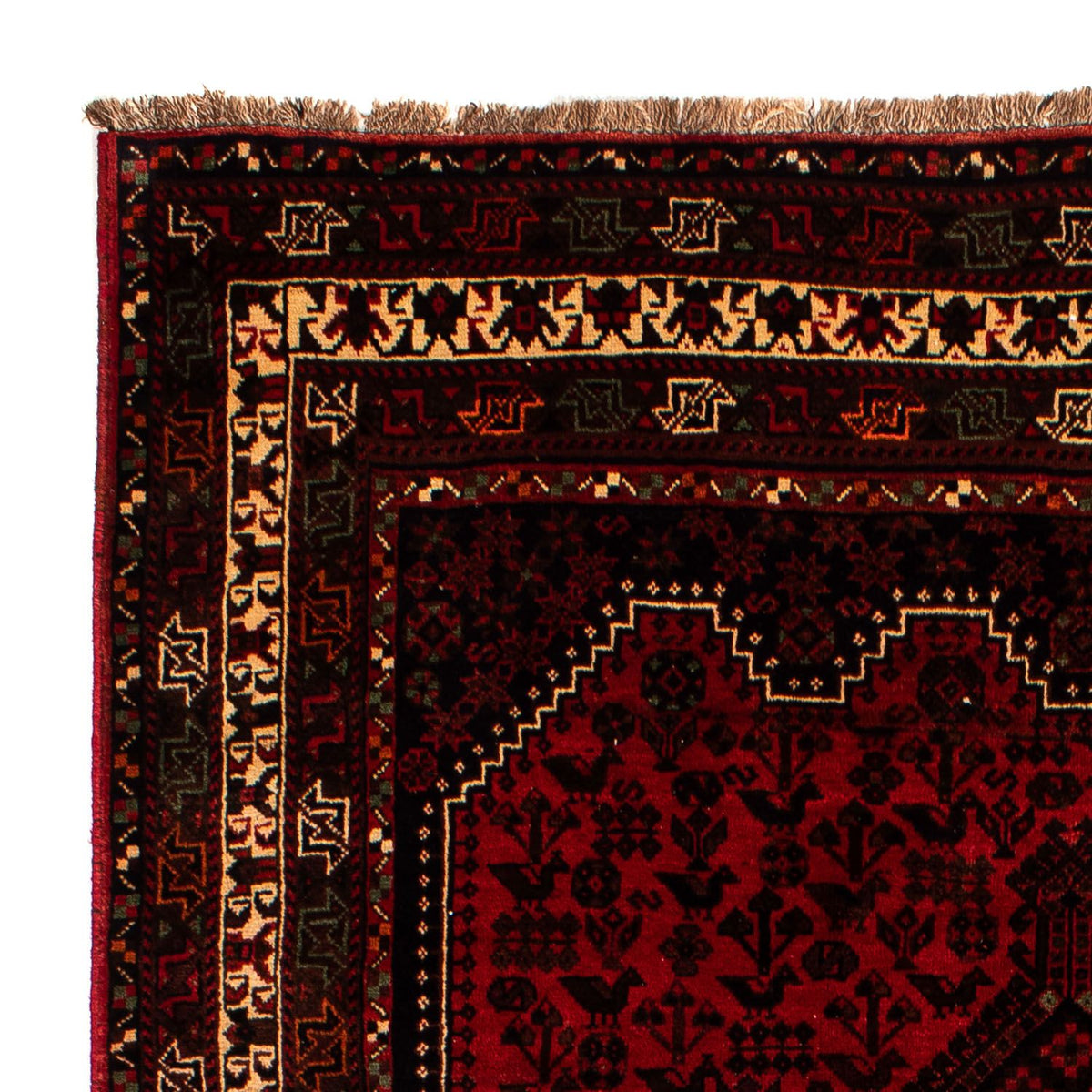 Shiraz Mattan 200x295cm - Persisk matta