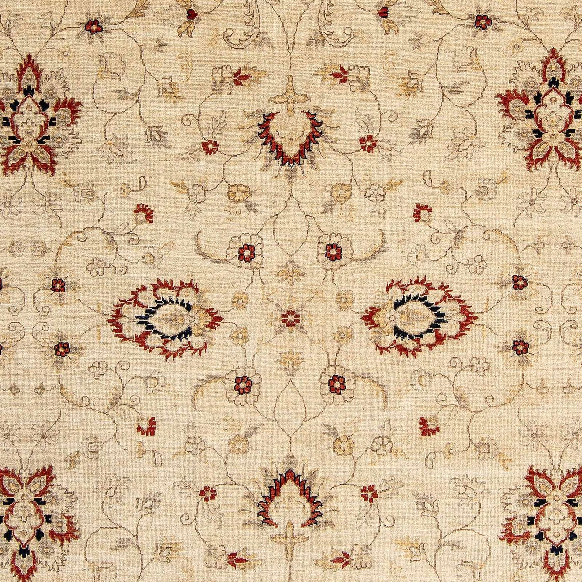 Ziegler Carpet - 297 x 246 cm - beige