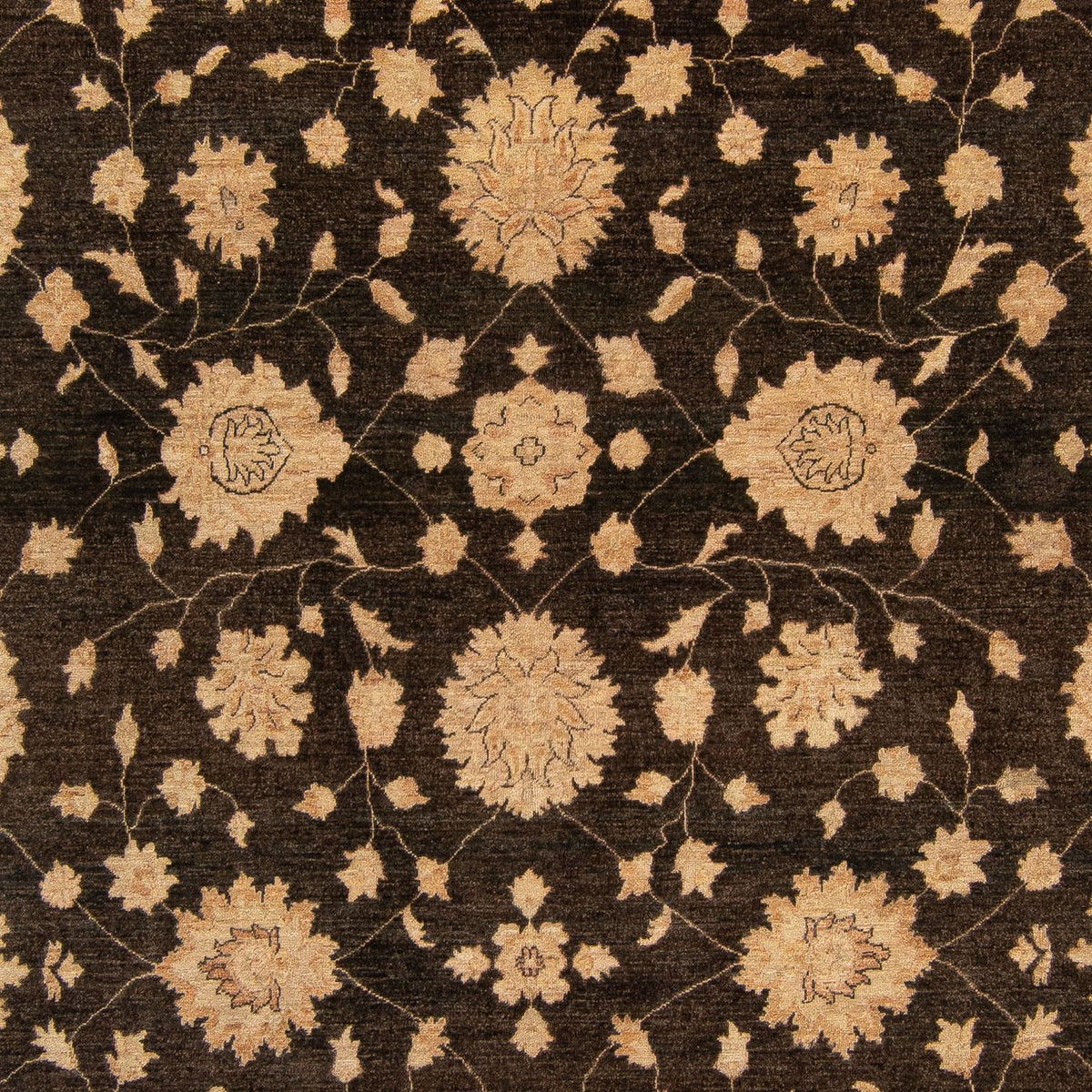 Ziegler Carpet - 349 x 248 cm - mörkblå