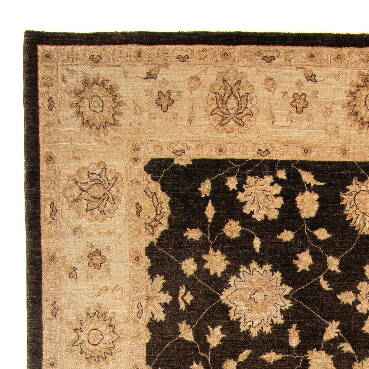 Ziegler Carpet - 349 x 248 cm - mörkblå