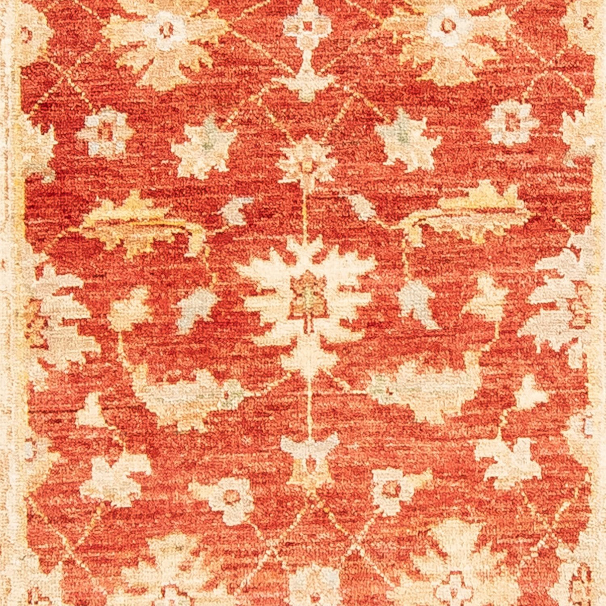 Runner Ziegler Carpet - 263 x 73 cm - rost