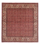 Persisk matta - Bijar kvadrat  - 208 x 200 cm - ljusröd