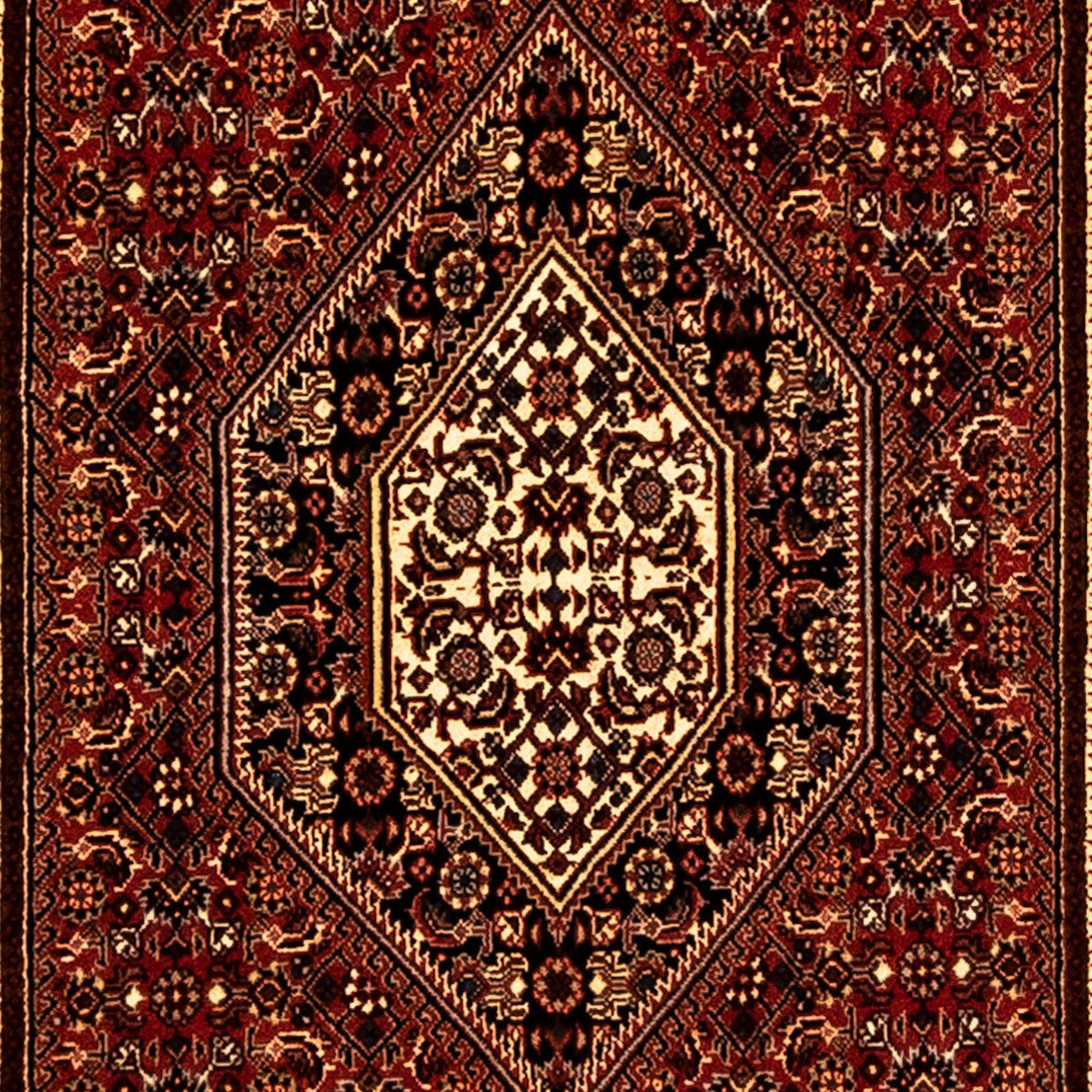 Runner Persisk matta - Bijar - 250 x 73 cm - flerfärgad