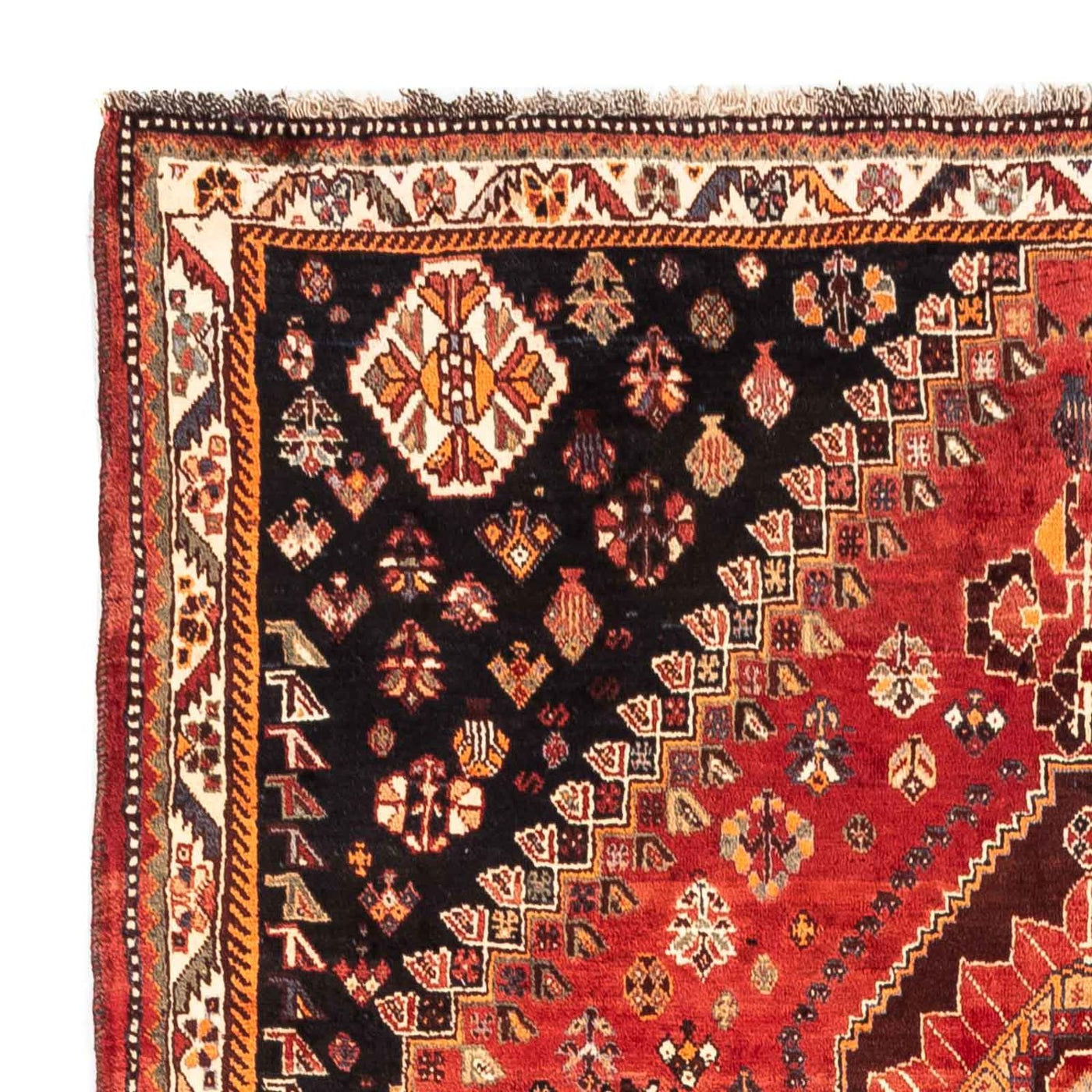 Shiraz Mattan 255x170cm - Persisk matta