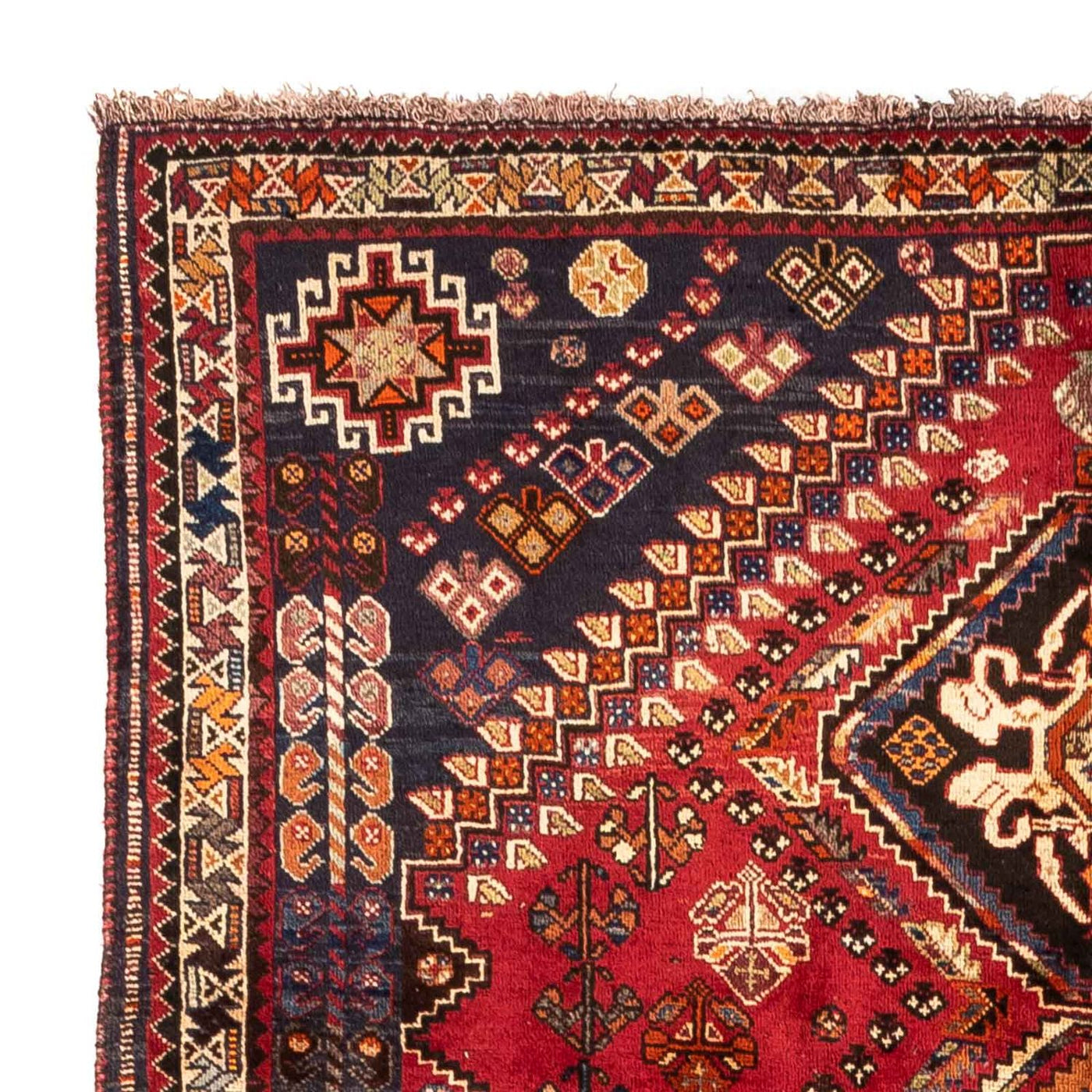 Shiraz Mattan 282x165cm - Persisk matta