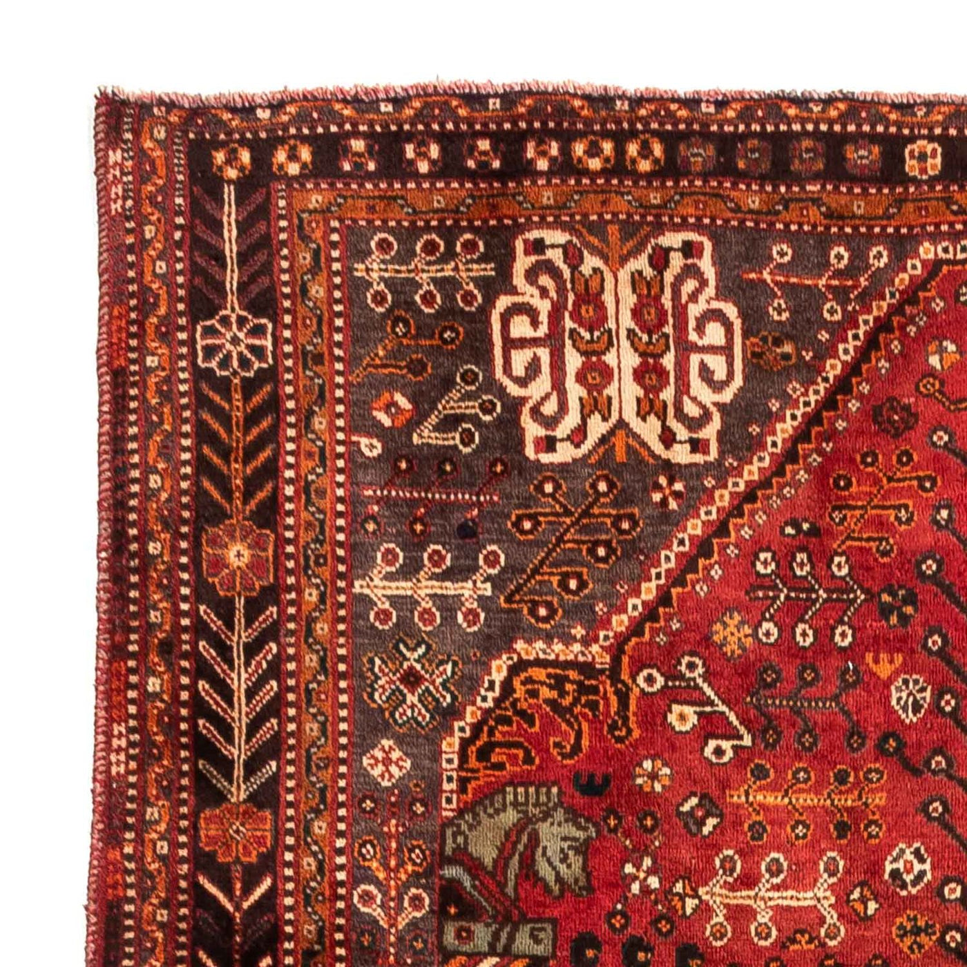 Shiraz Mattan 253x160cm - Persisk matta