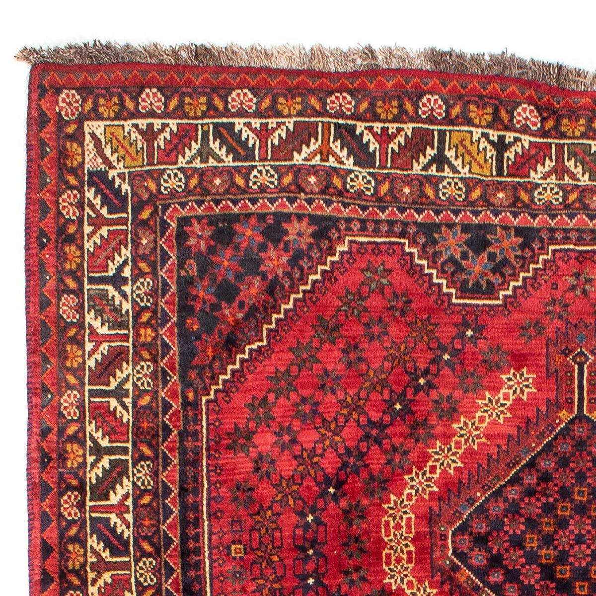 Shiraz Mattan 208x298cm - Persisk matta