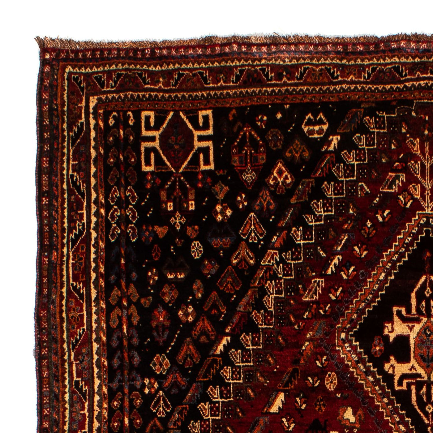 Shiraz Mattan 266x187cm - Persisk matta