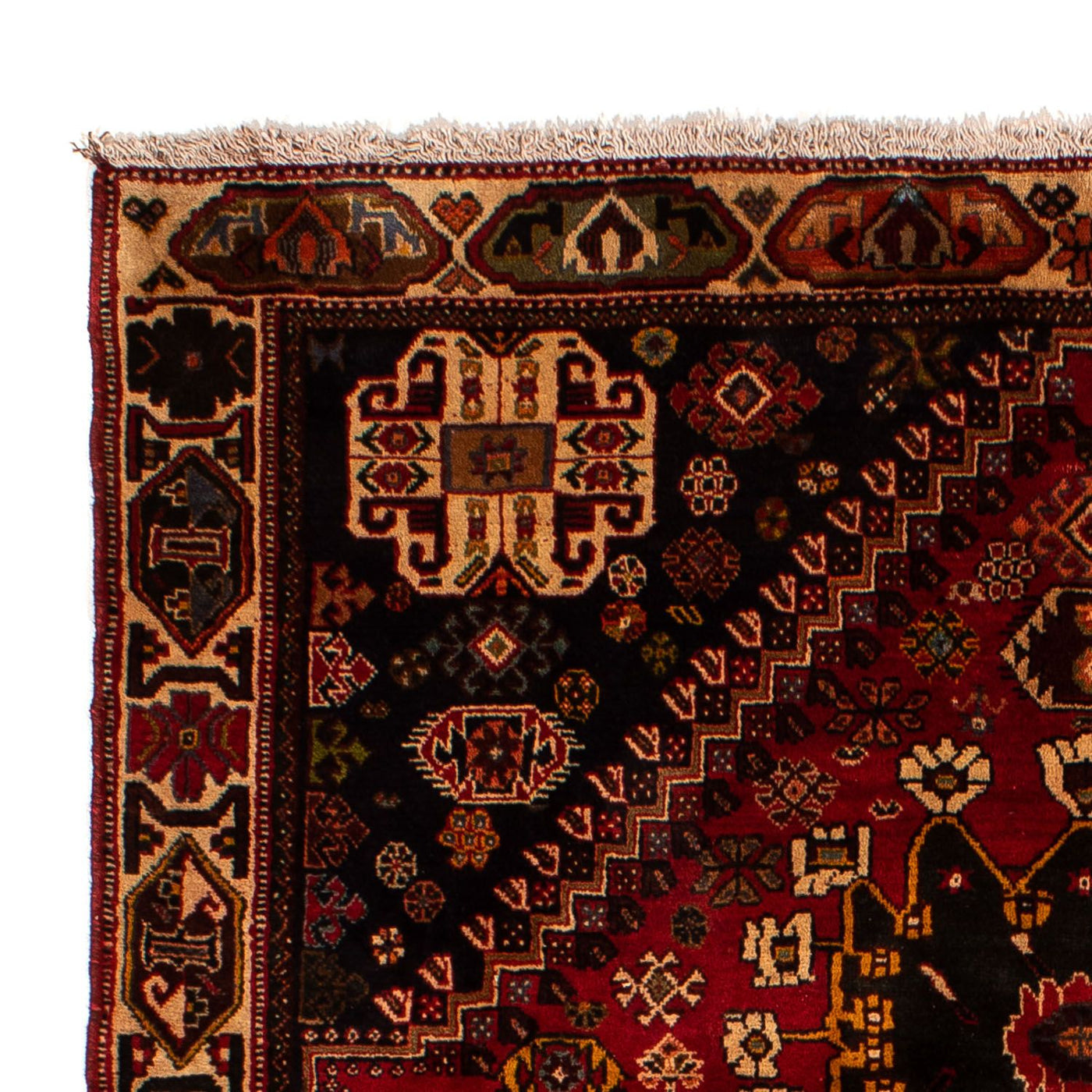 Shiraz Mattan 284x185cm - Persisk matta