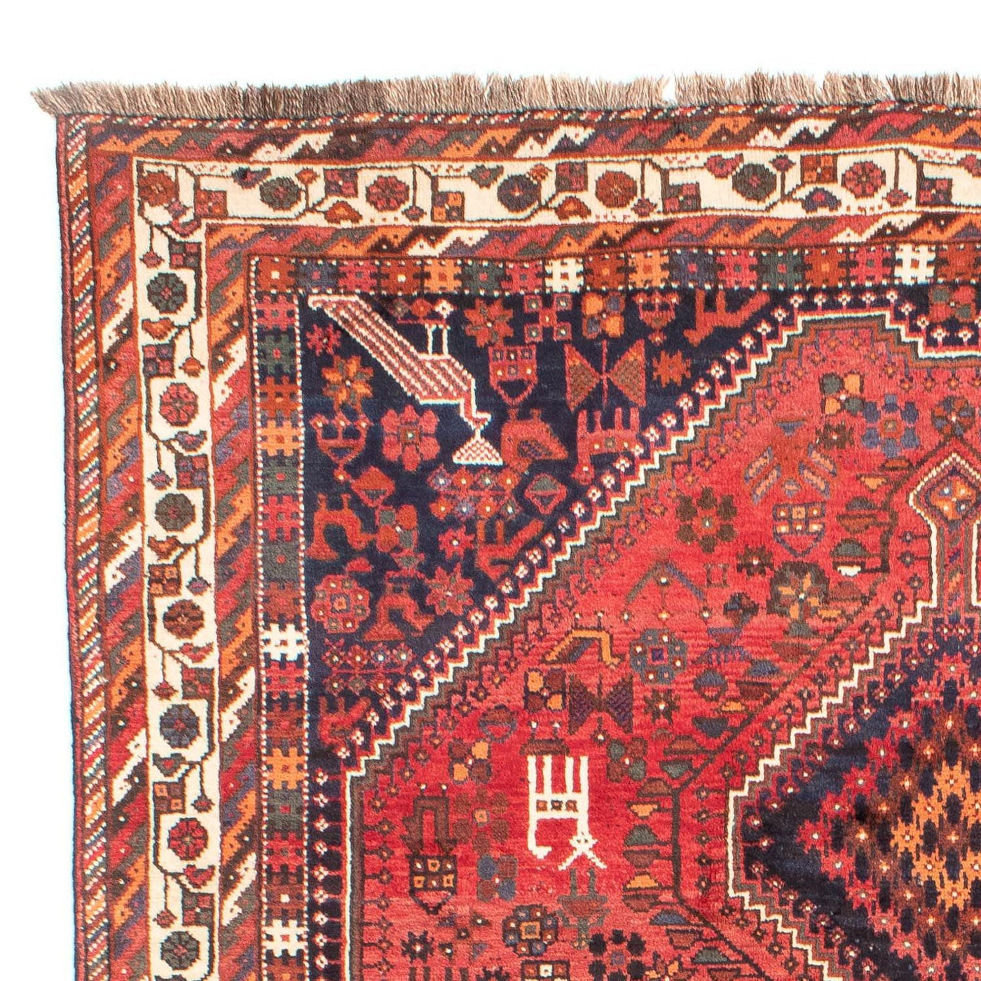 Shiraz Mattan 308x206cm - Persisk matta