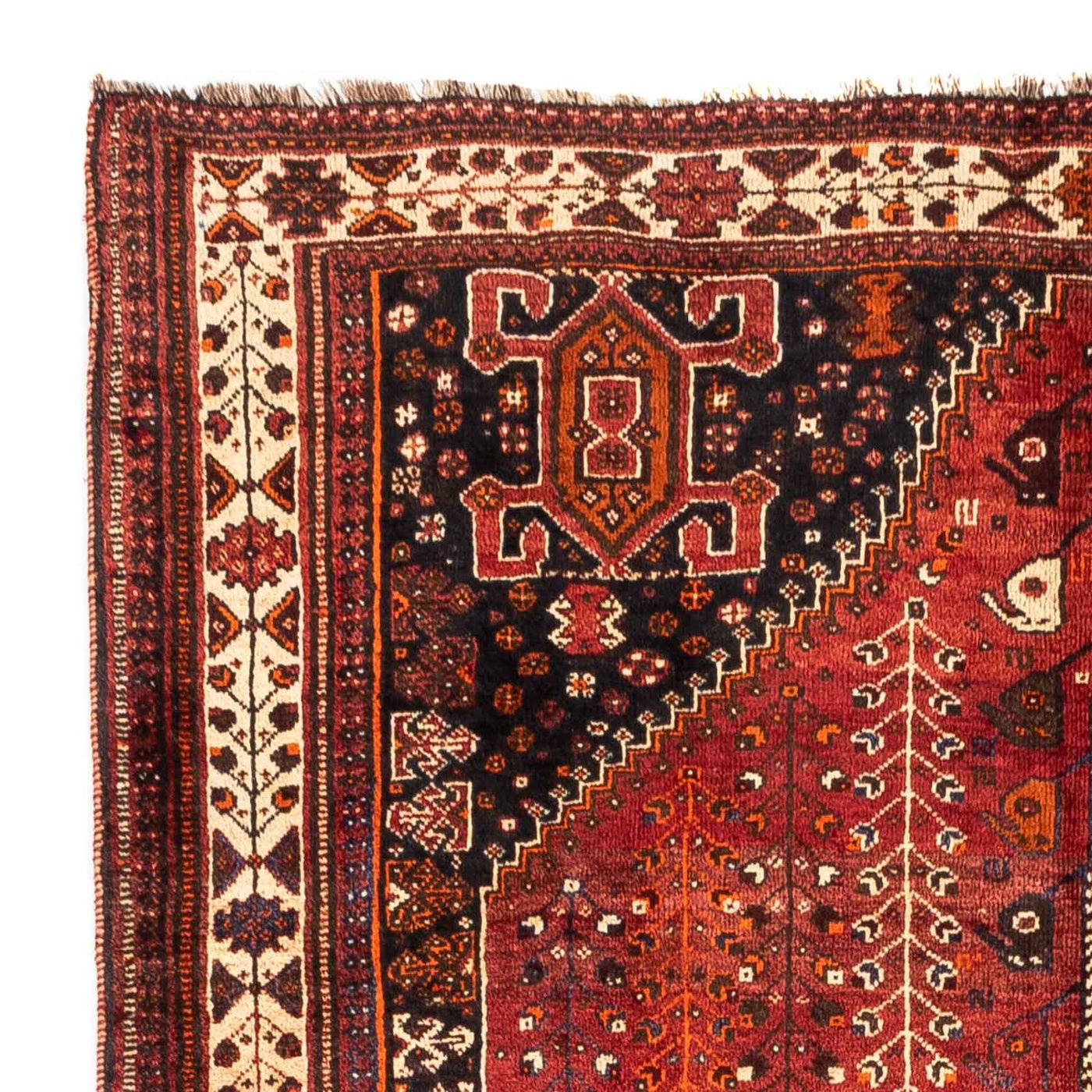 Shiraz Mattan 258x163cm - Persisk matta