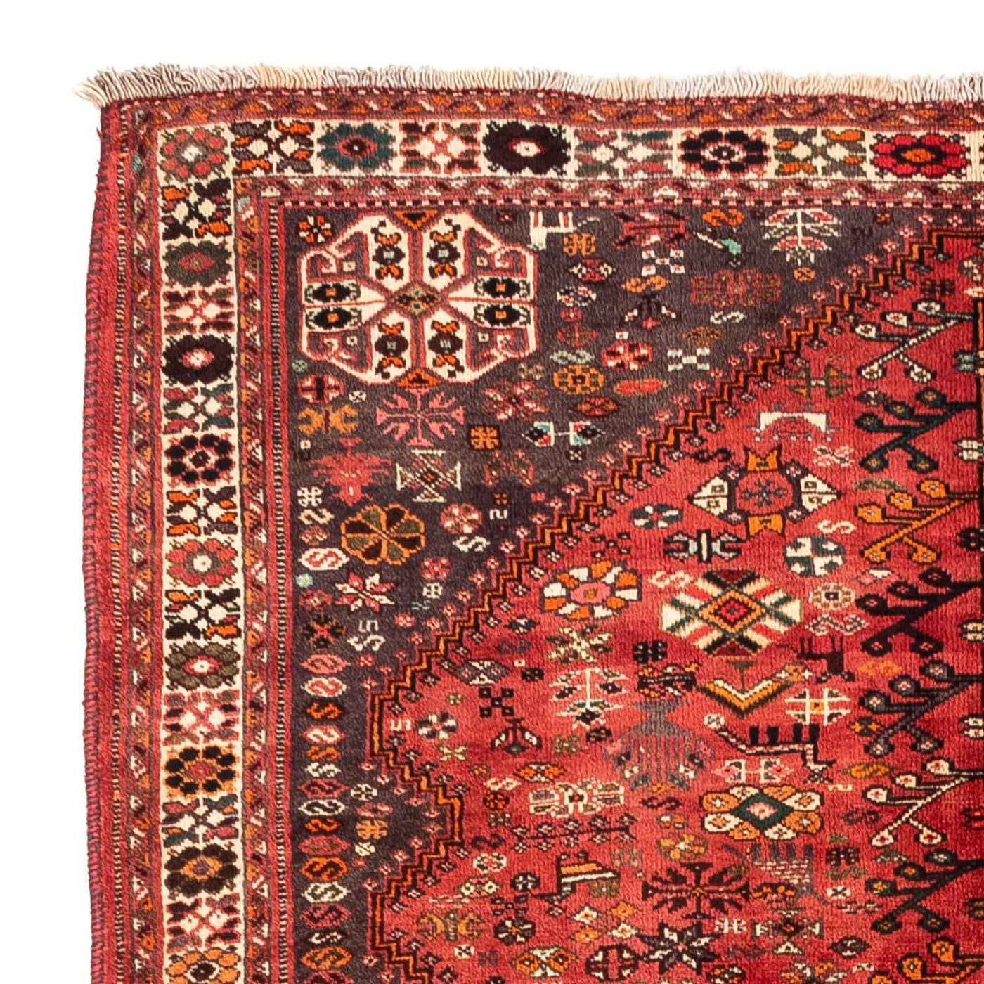Persisk matta - Nomadic - 243 x 174 cm - mörkröd