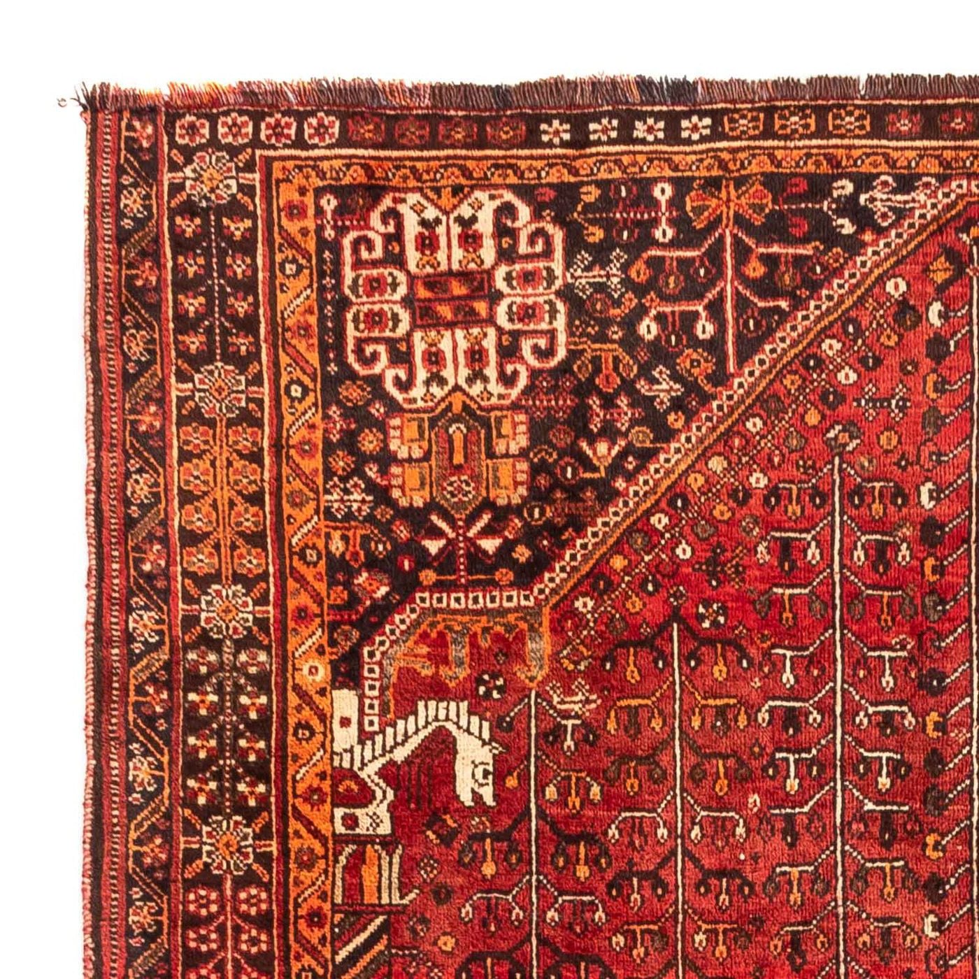 Shiraz Mattan 240x158cm - Persisk matta