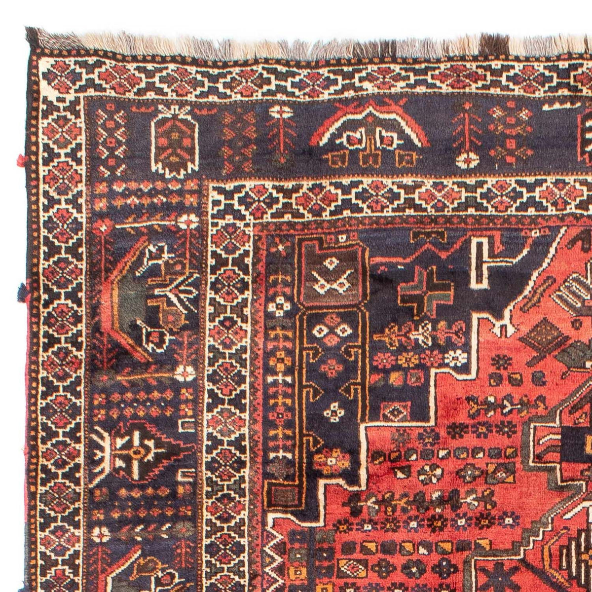 Shiraz Mattan 220x300cm - Persisk matta