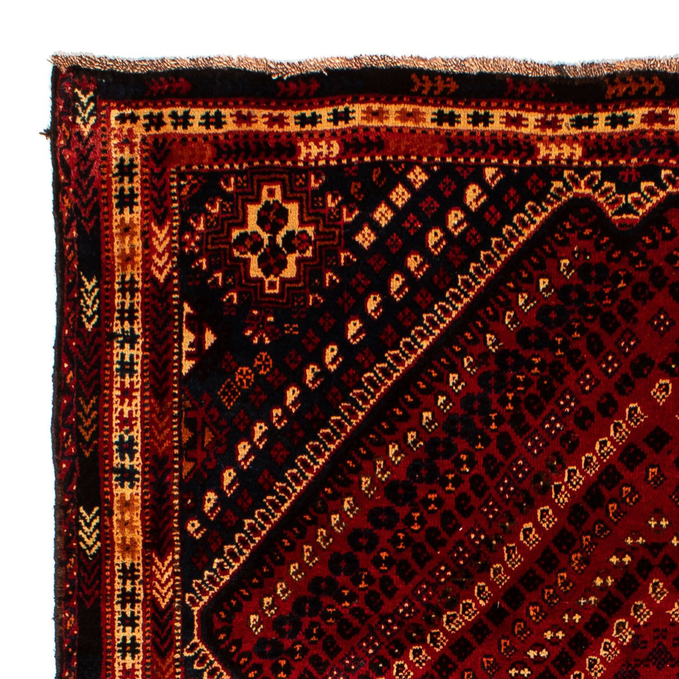 Shiraz Mattan 277x193cm - Persisk matta