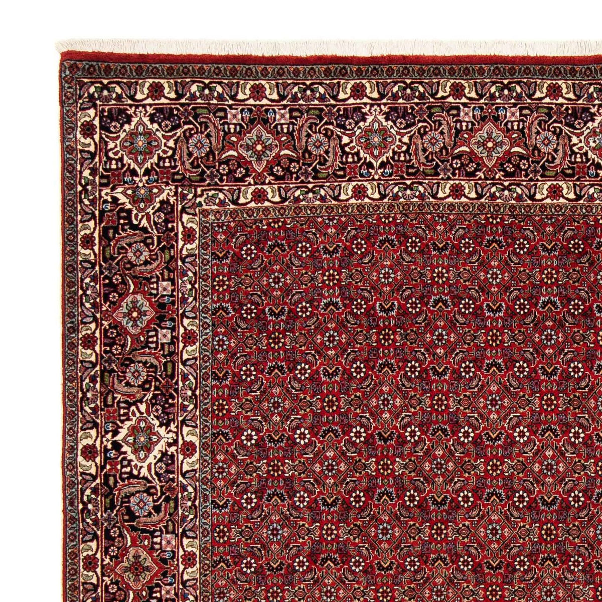 Bidjar Mattan 205x205cm - Persisk matta