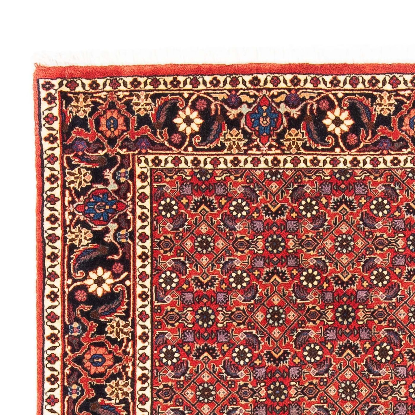 Bidjar Mattan 183x114cm - Persisk matta