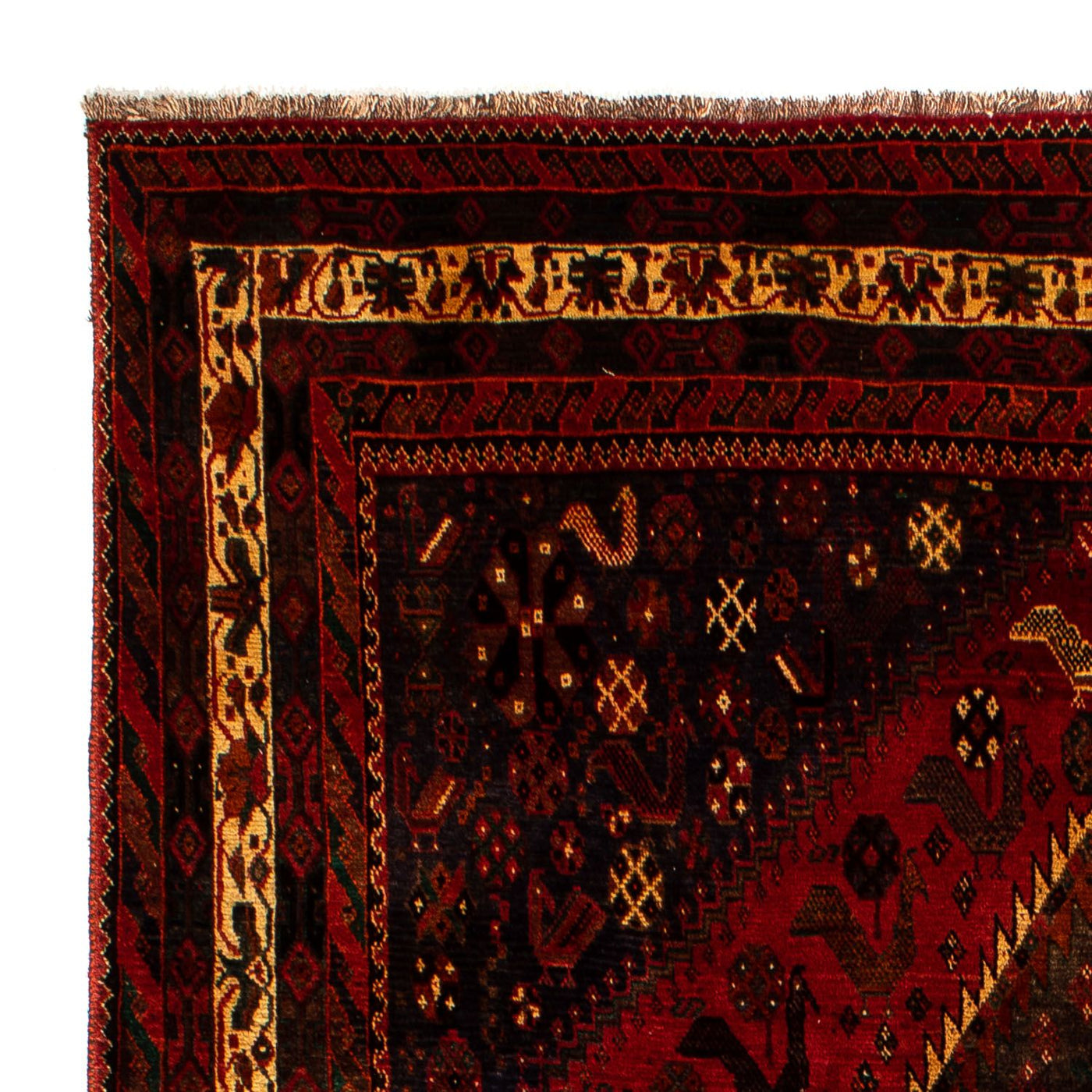 Shiraz Mattan 312x208cm - Persisk matta