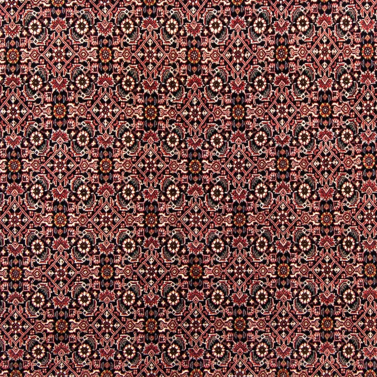 Persisk matta - Bijar - 247 x 168 cm - mörkblå