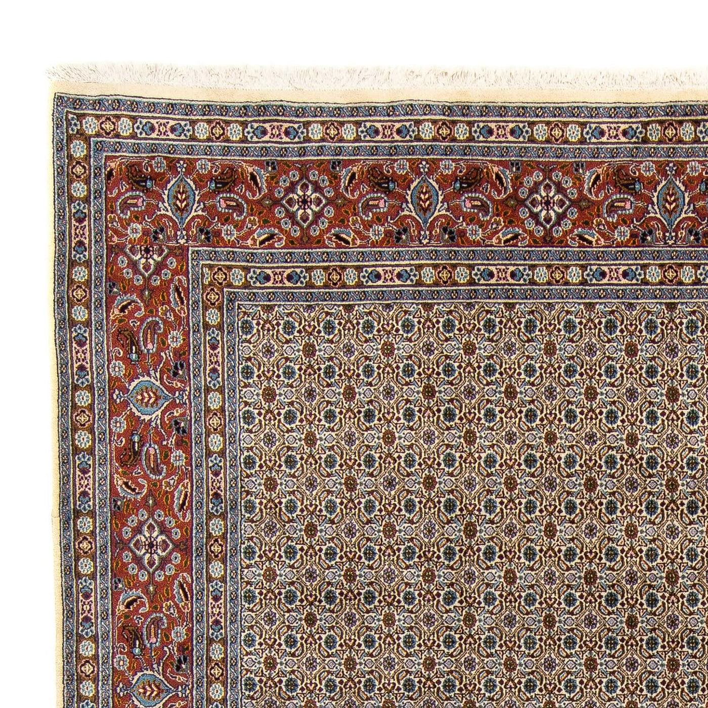 Moud Mattan 340x247cm - Persisk matta