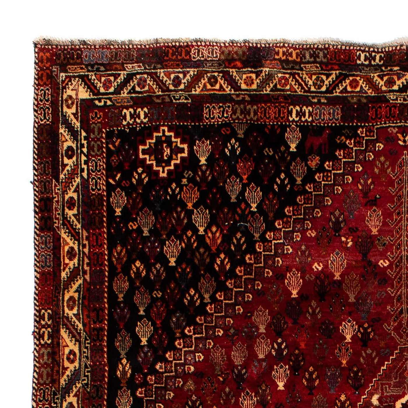 Shiraz Mattan 315x216cm - Persisk matta