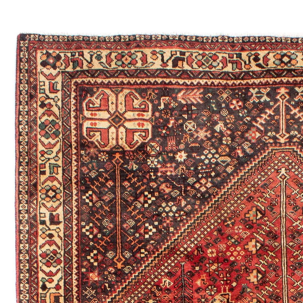 Shiraz Mattan 211x300cm - Persisk matta