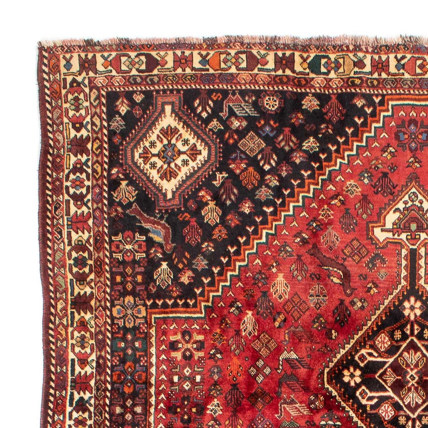 Shiraz Mattan 330x228cm - Persisk matta