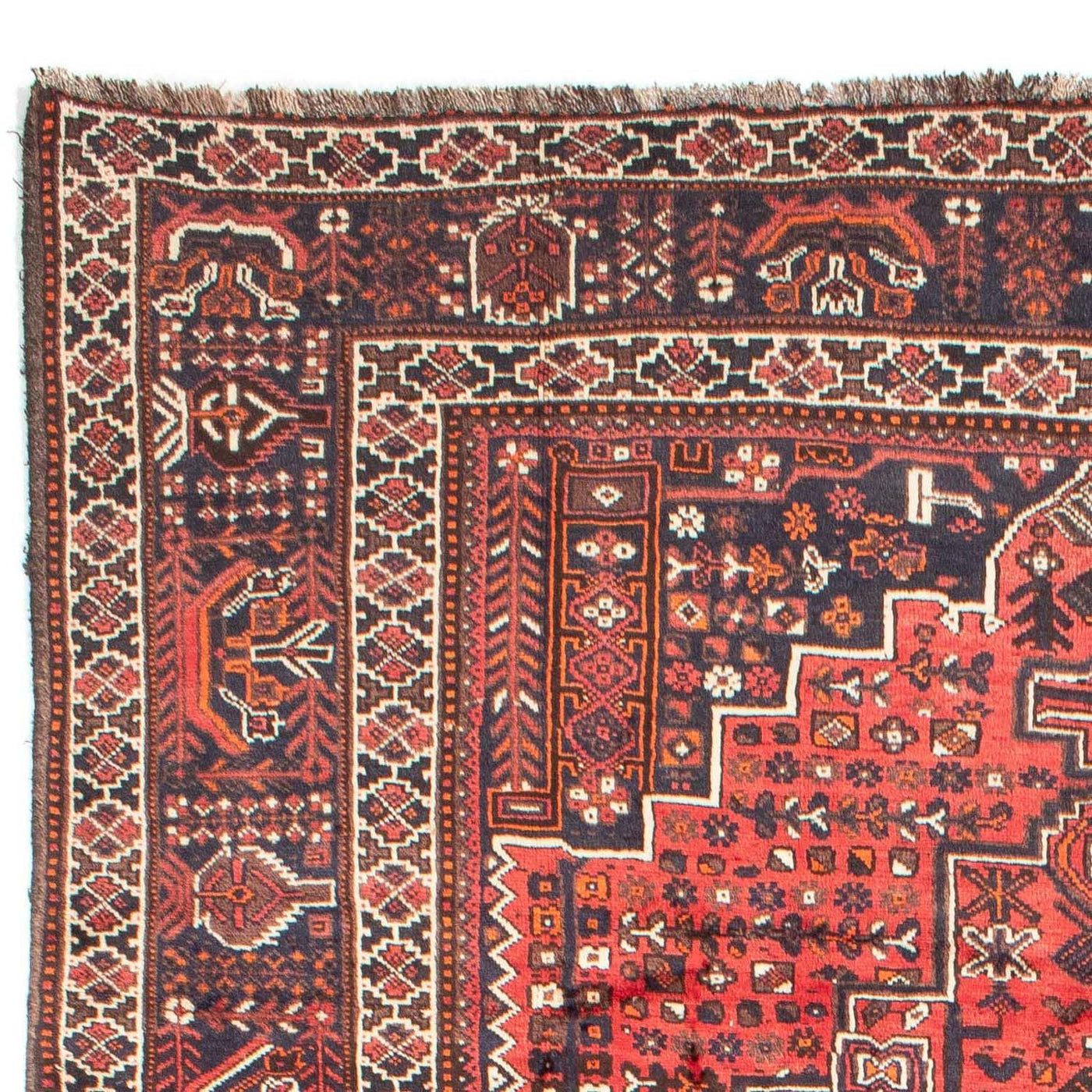 Persisk matta - Nomadic - 295 x 218 cm - röd