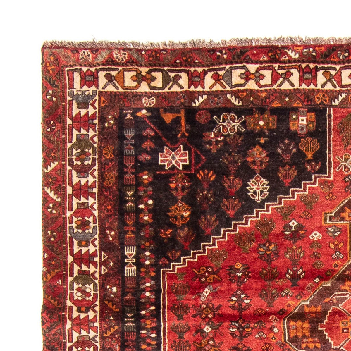 Shiraz Mattan 225x310cm - Persisk matta