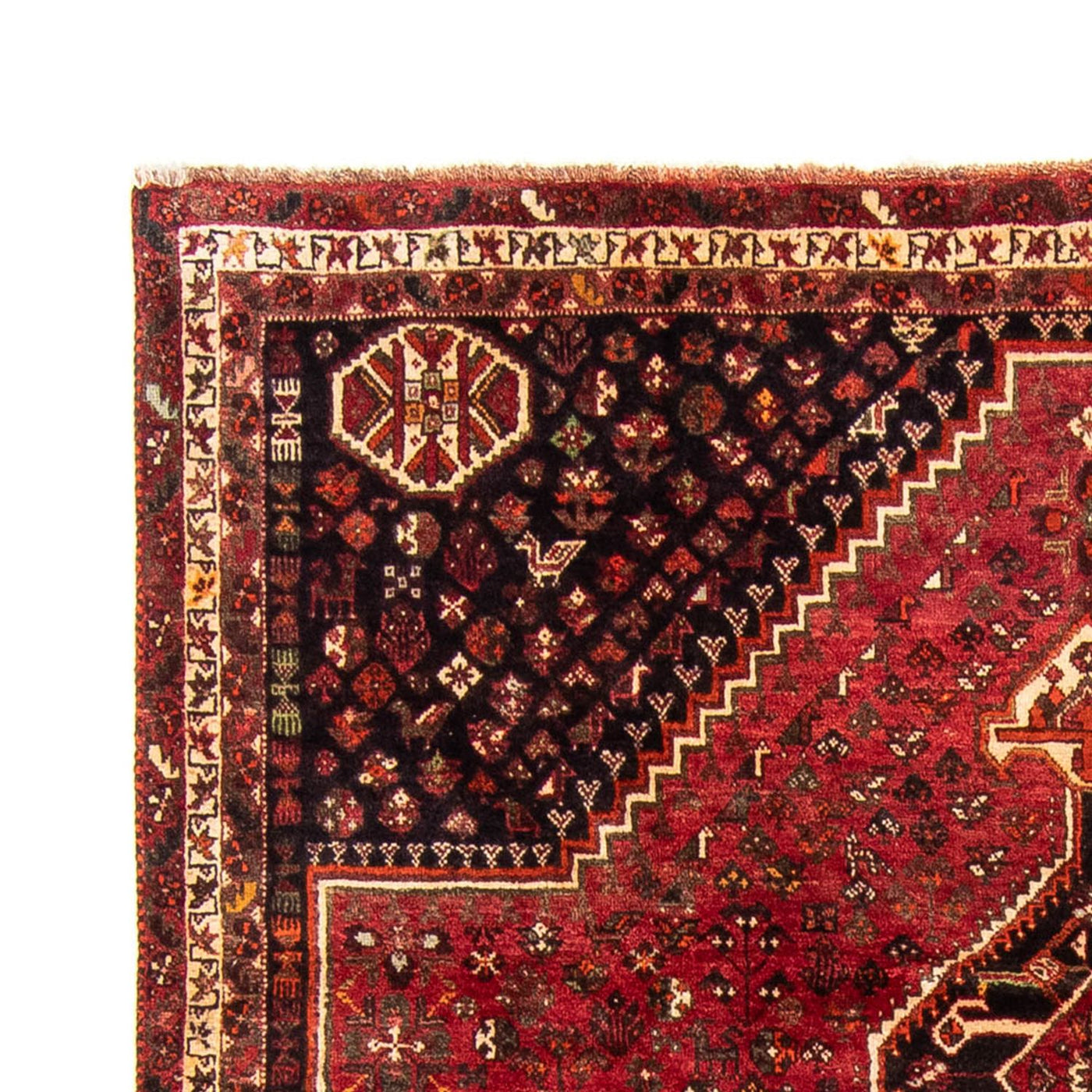 Shiraz Mattan 325x230cm - Persisk matta