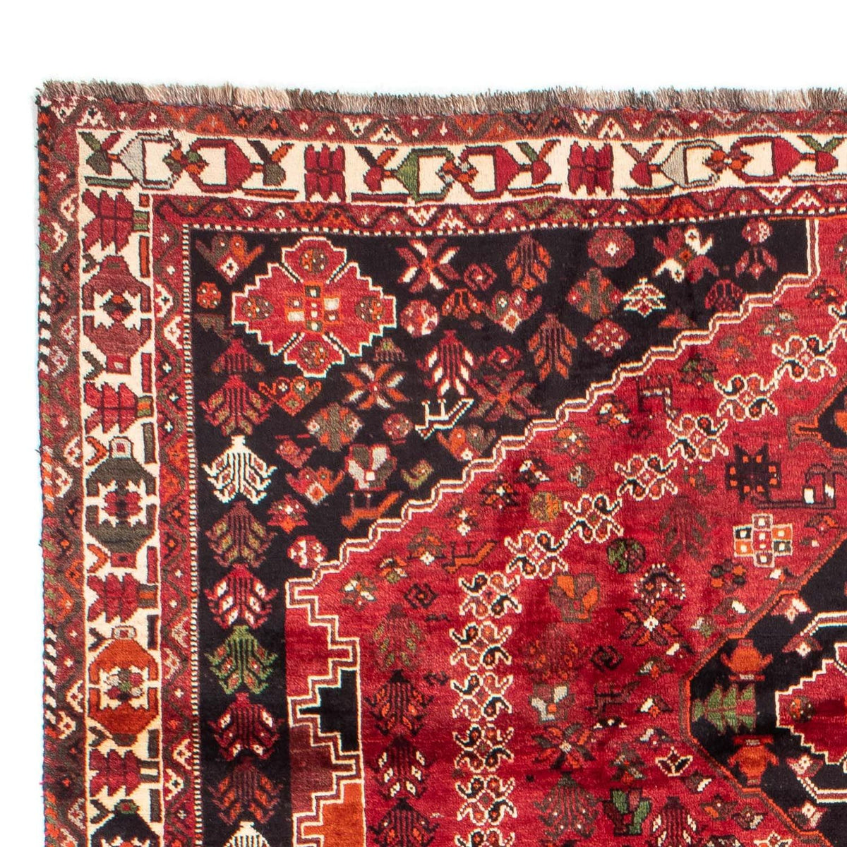 Shiraz Mattan 230x320cm - Persisk matta