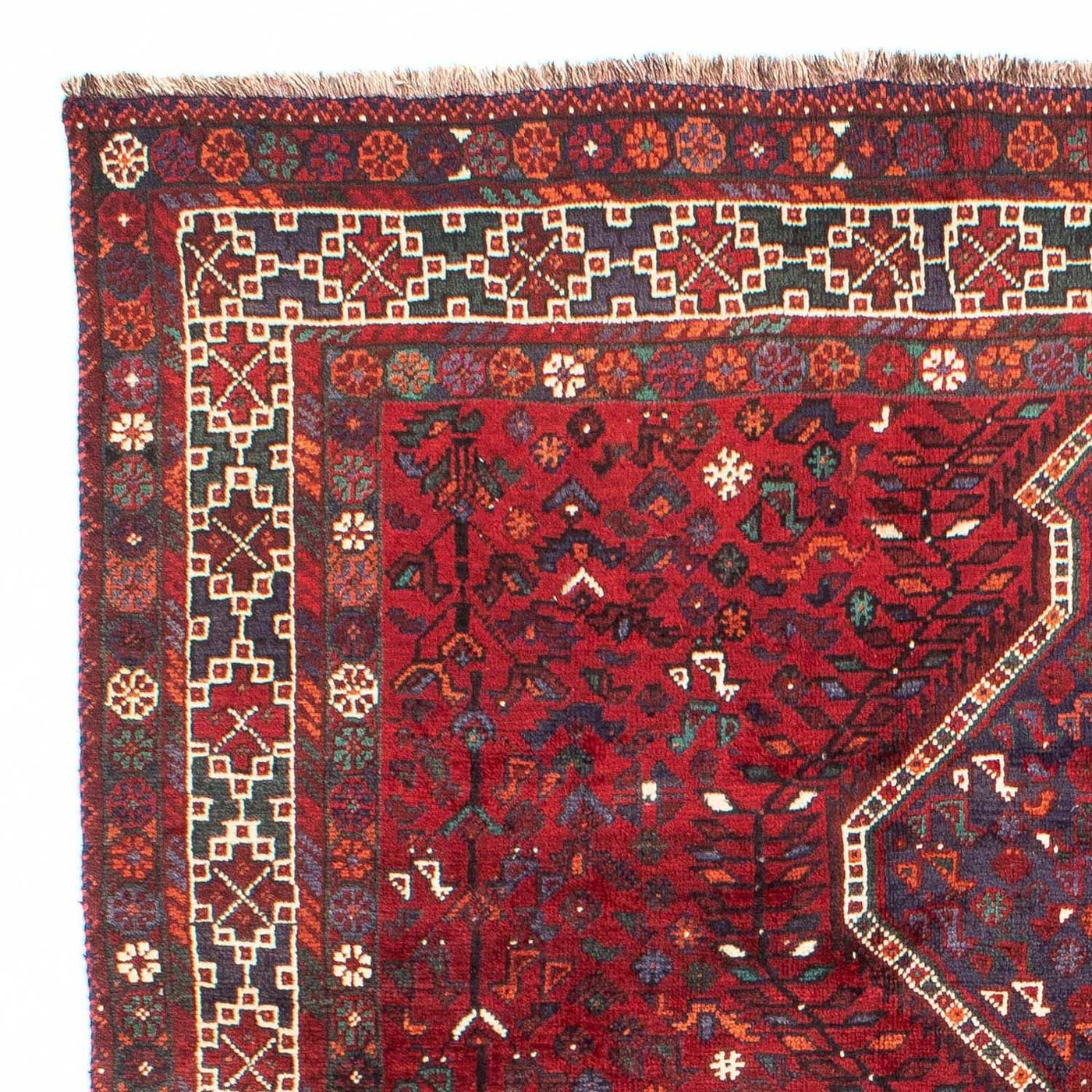 Shiraz Mattan 300x208cm - Persisk matta