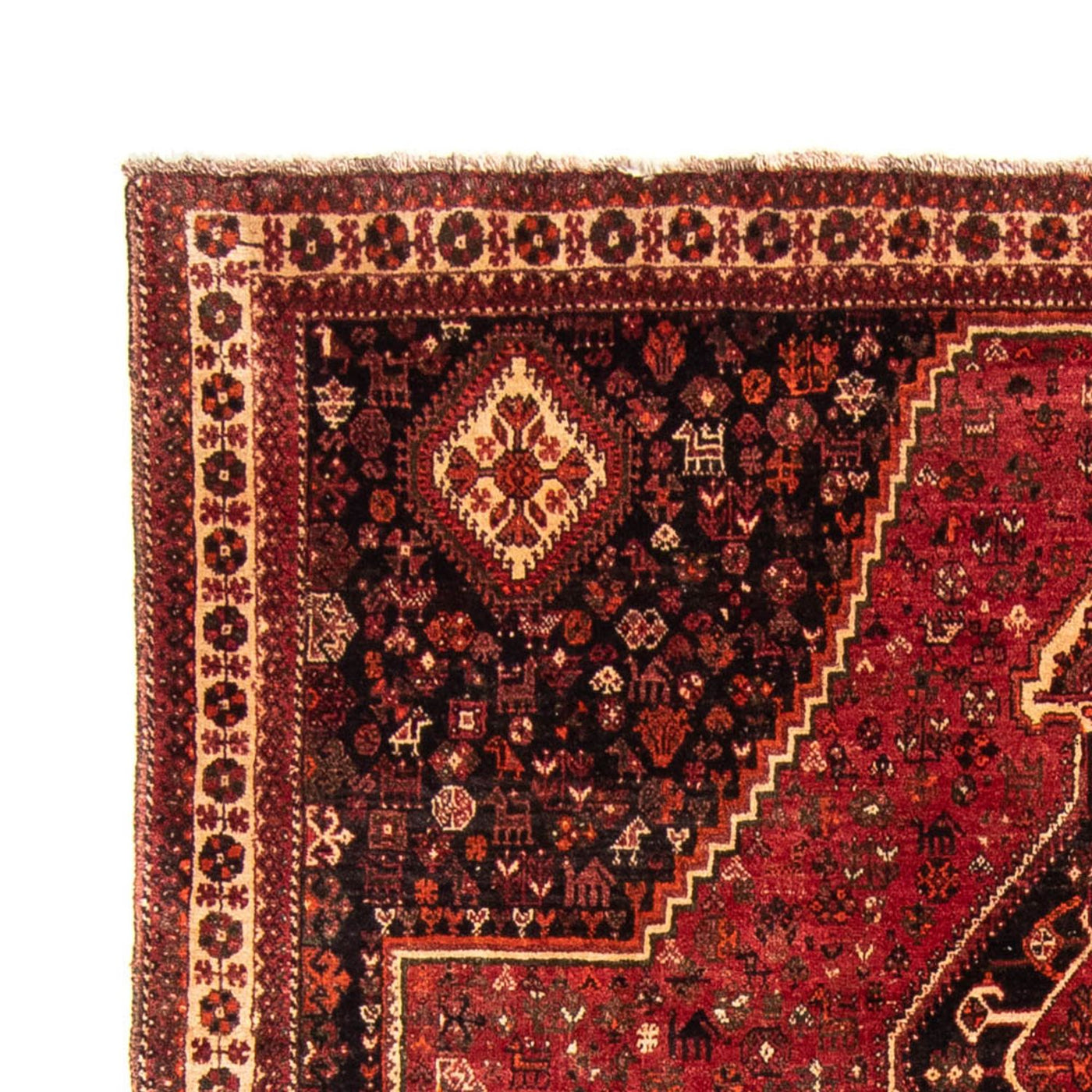 Qashqai Mattan 320x230cm - Persisk matta