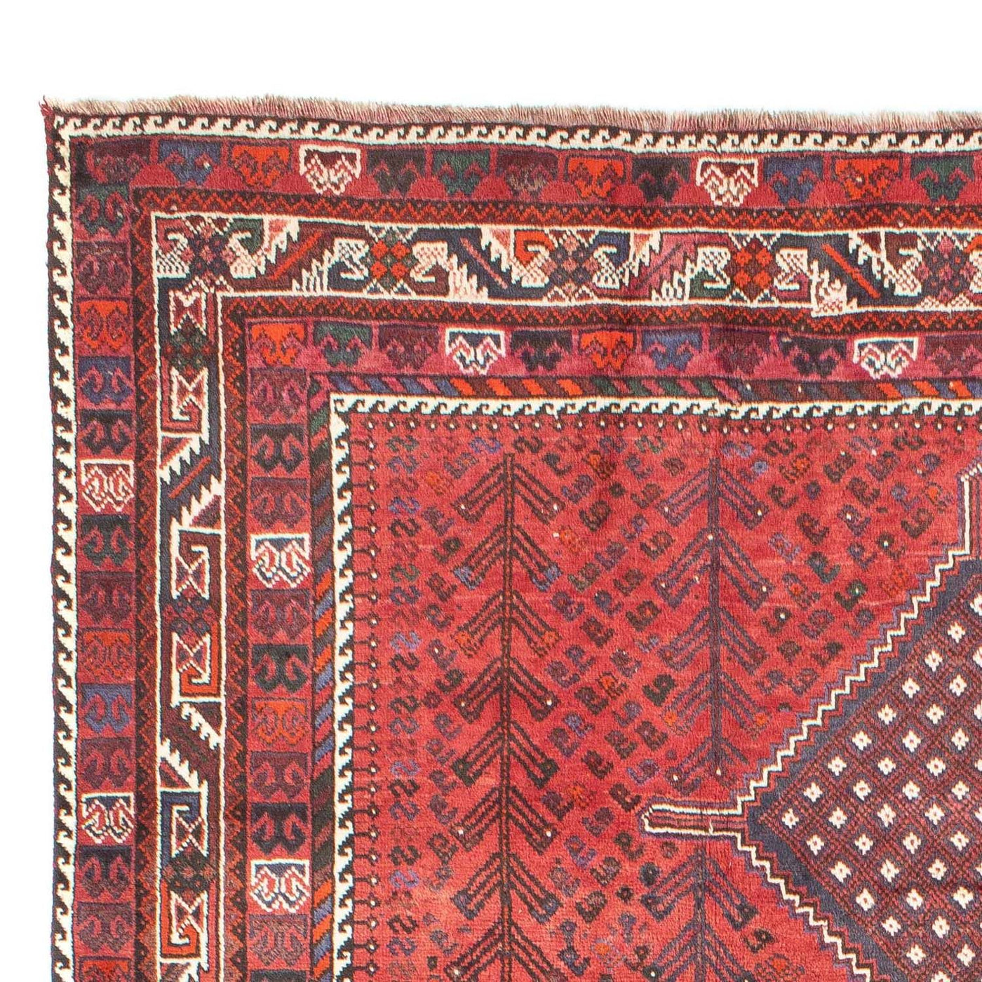 Persisk matta - Nomadic - 310 x 215 cm - röd