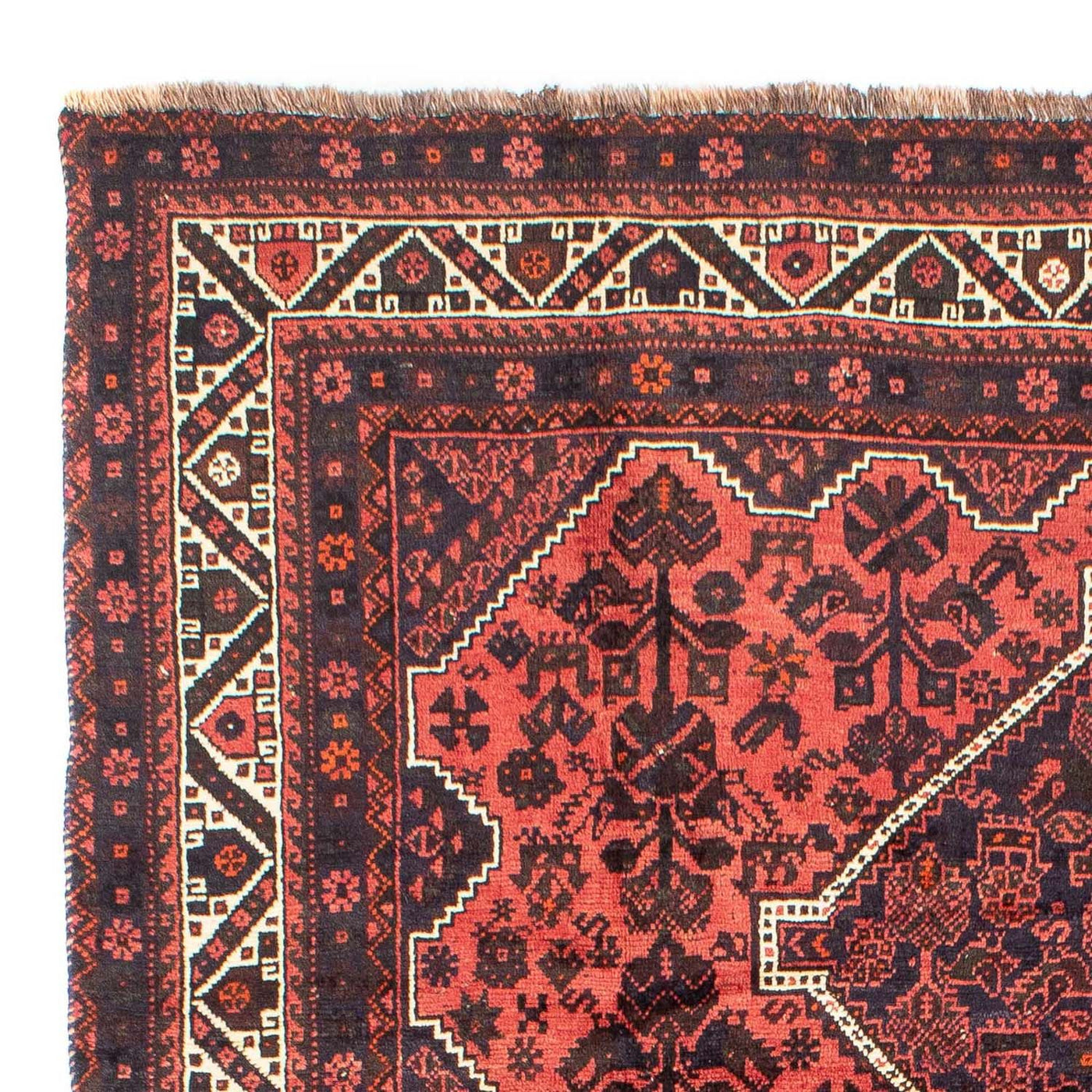Shiraz Mattan 300x207cm - Persisk matta