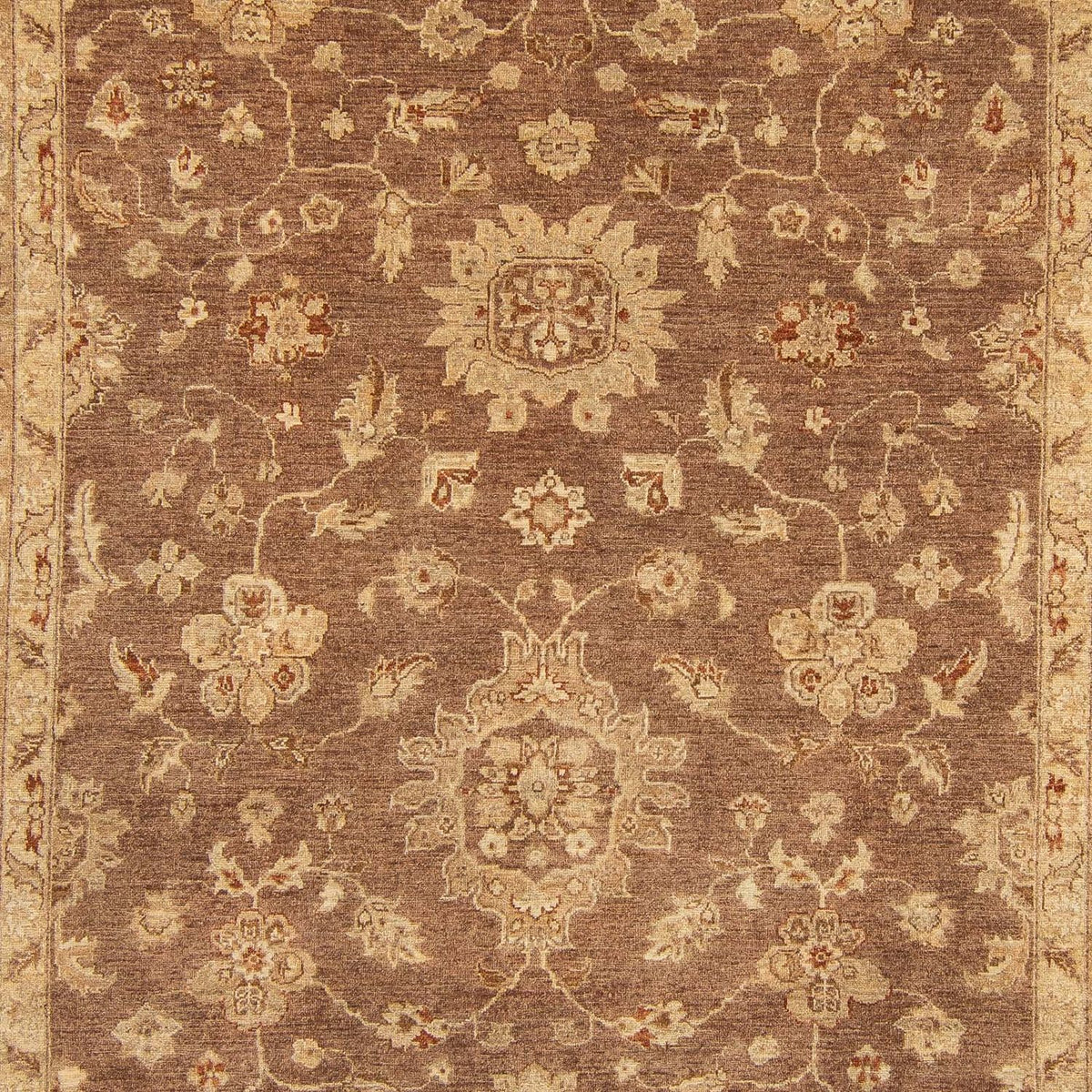 Ziegler Carpet - 369 x 270 cm - mörkbrun