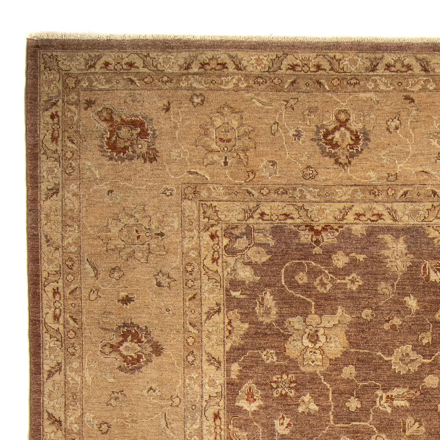 Ziegler Carpet 369x270cm - Oriental Carpet