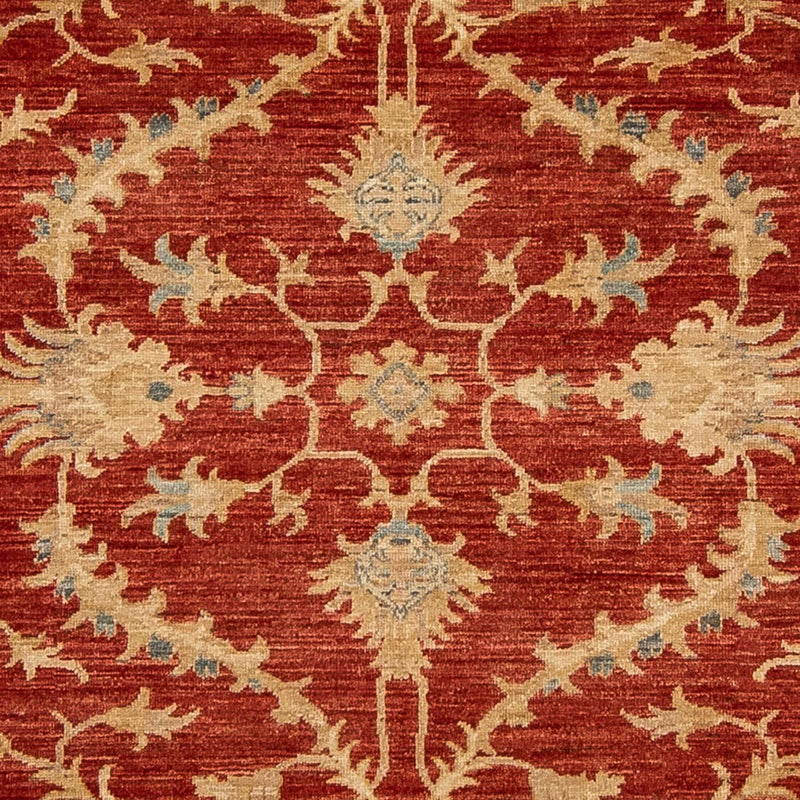 Ziegler Carpet - 285 x 203 cm - mörkröd
