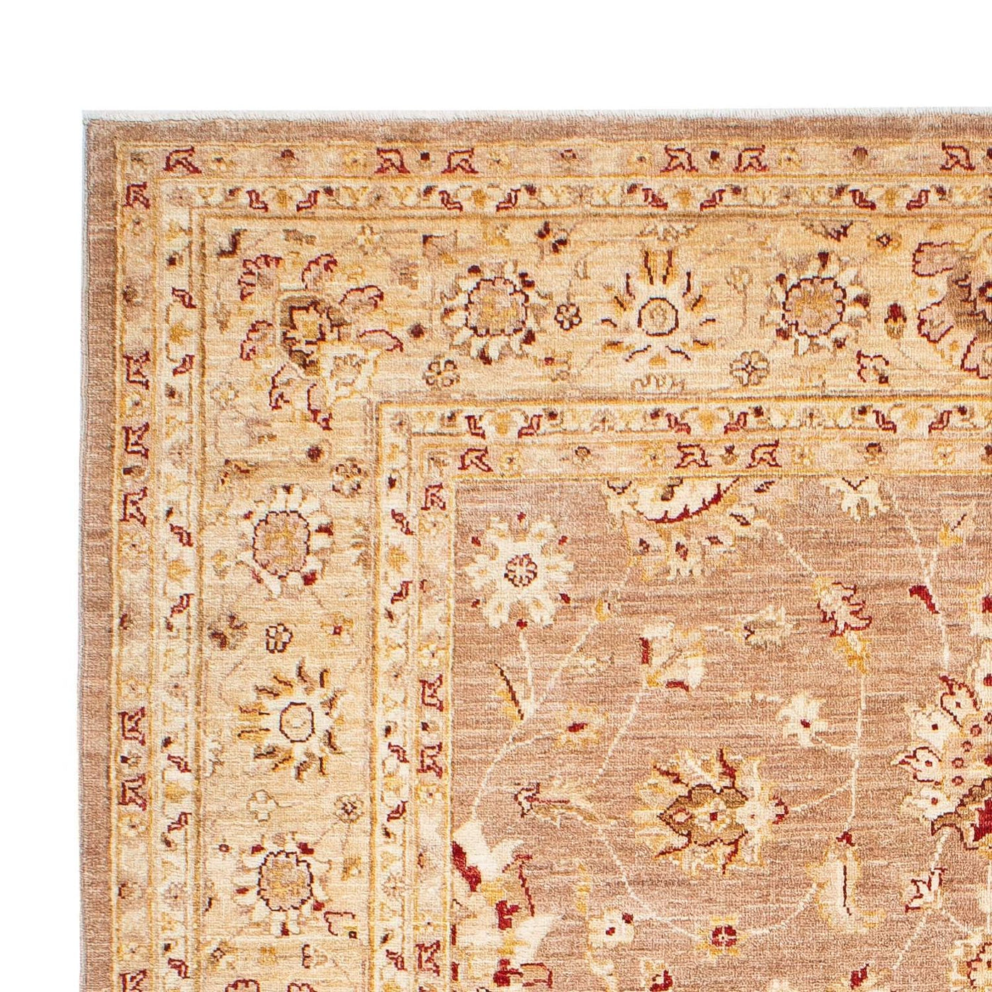 Ziegler Carpet 245x171cm - Persisk matta