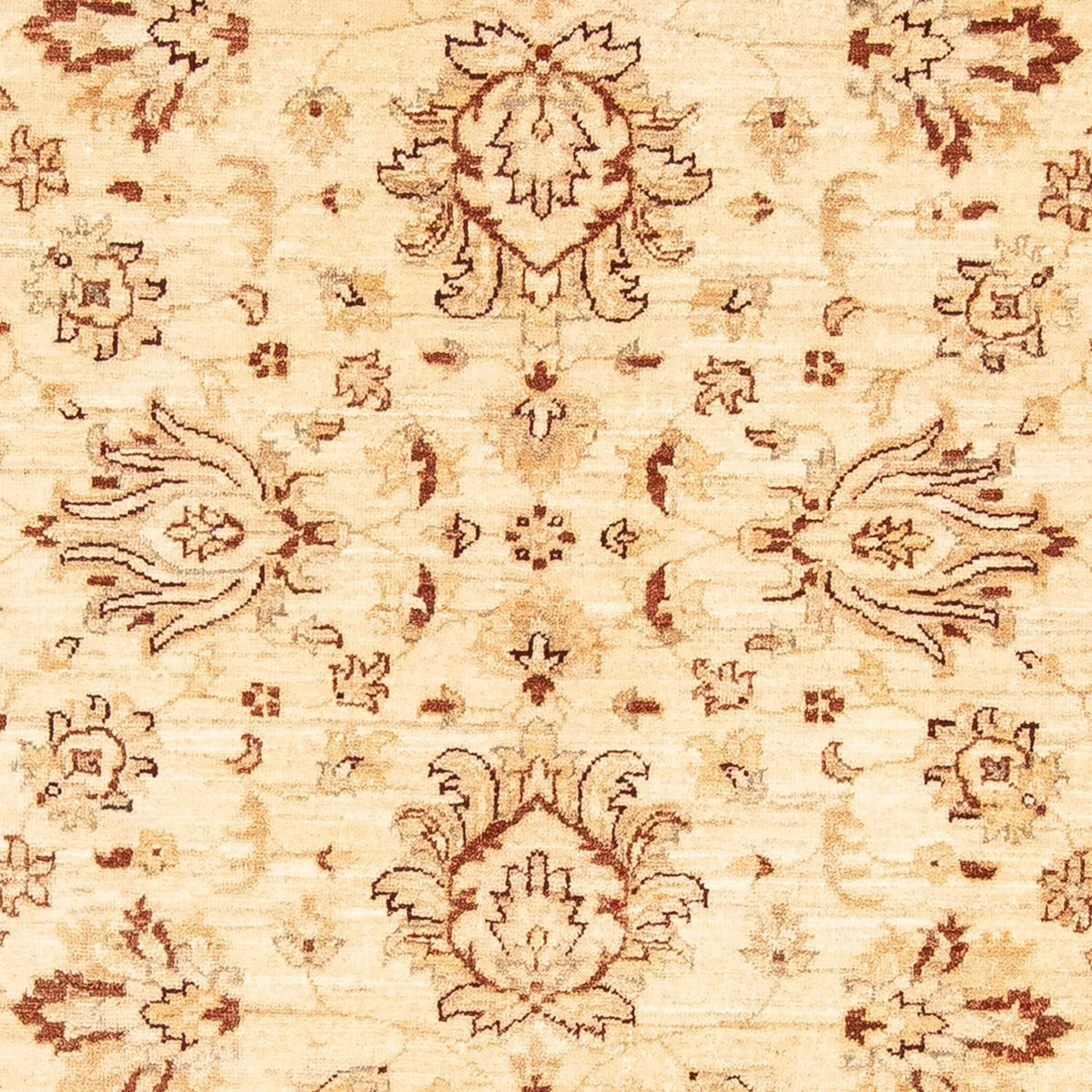 Ziegler Carpet - 180 x 124 cm - beige