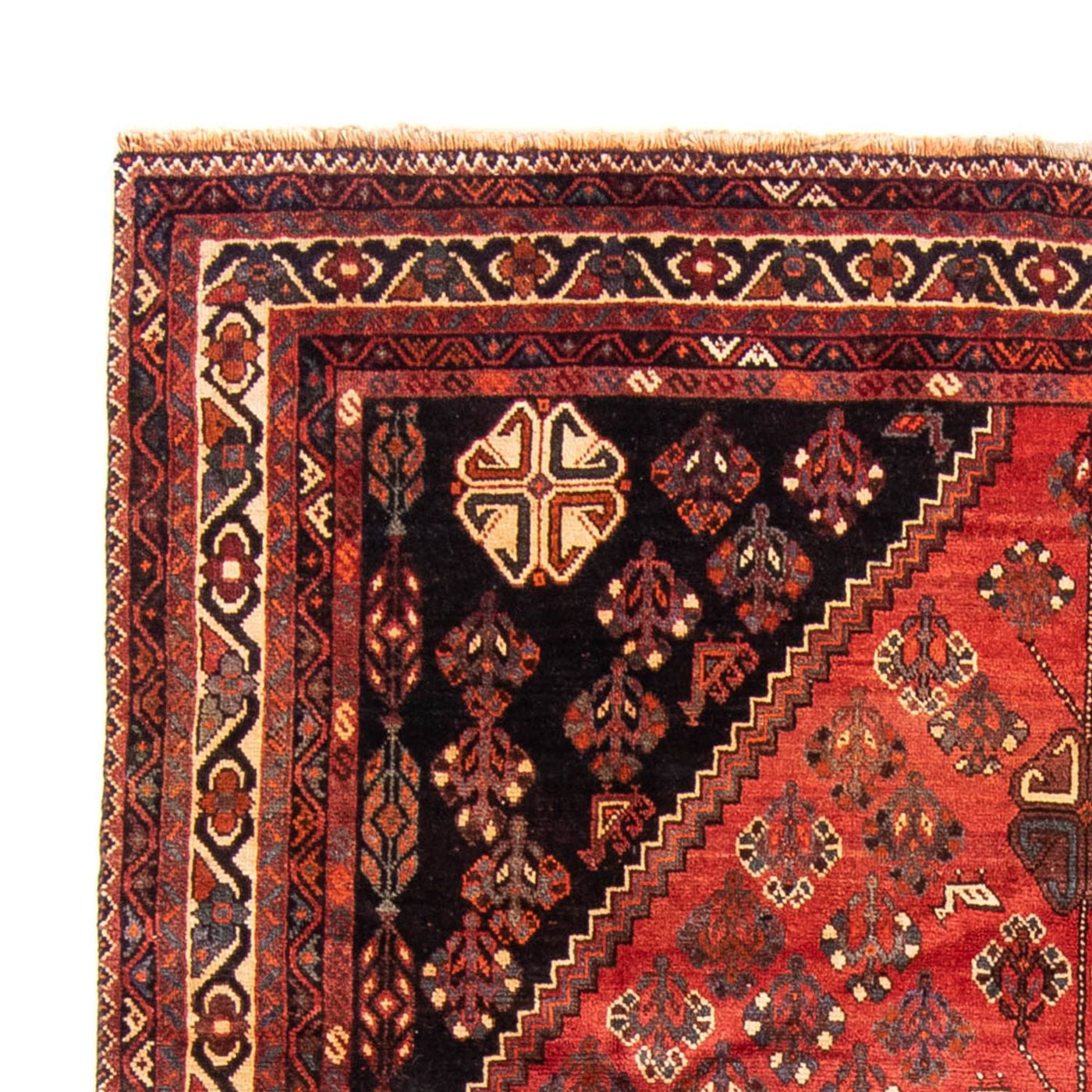 Shiraz Mattan 323x235cm - Persisk matta