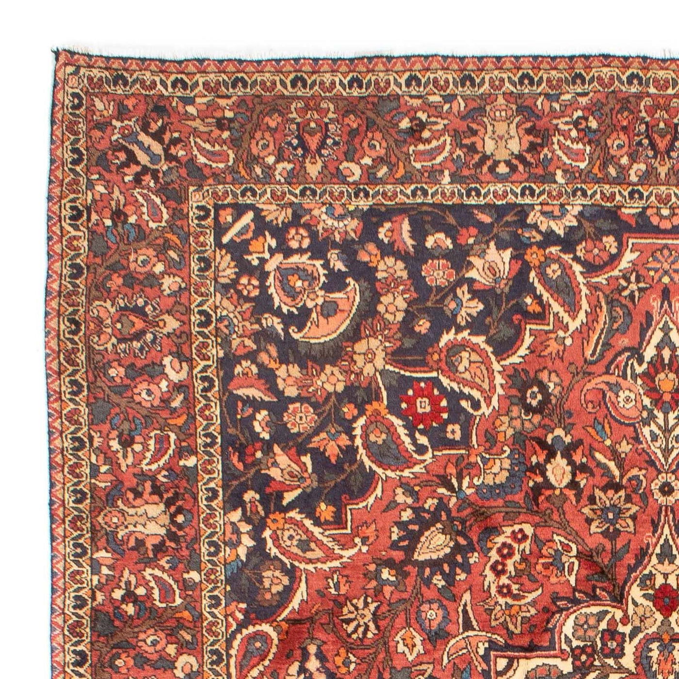Bakhtiari Mattan 313x204cm - Persisk matta