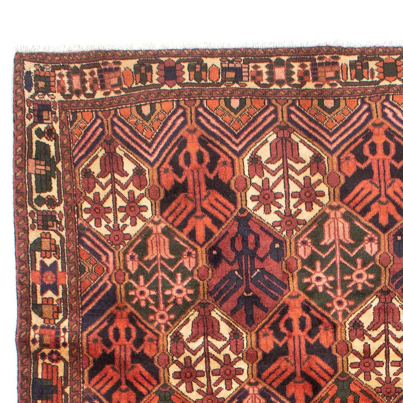 Persisk matta - Nomadic - 288 x 210 cm - ljusröd