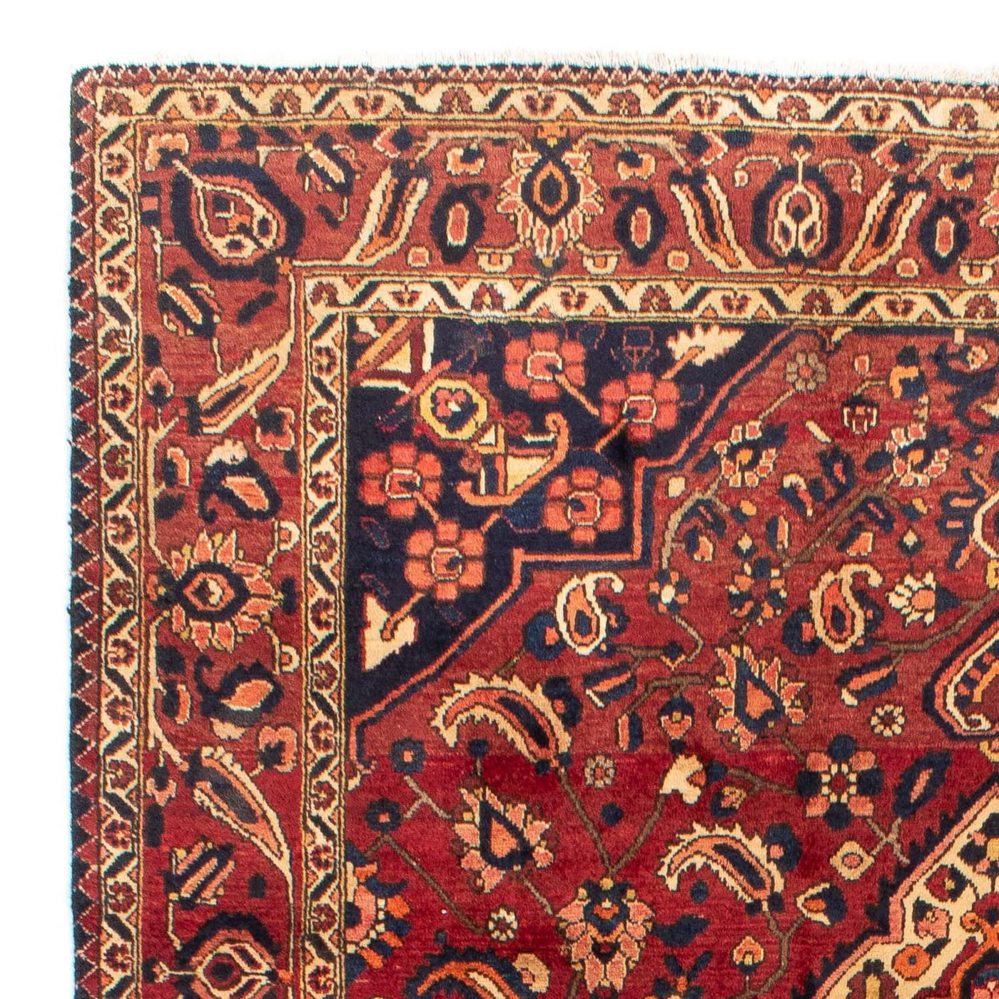 Bakhtiari Mattan 318x211cm - Persisk matta