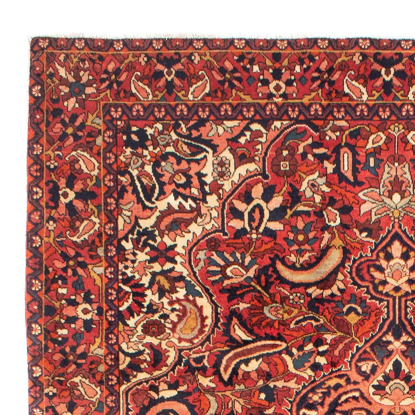 Bakhtiari Mattan 313x213cm - Persisk matta