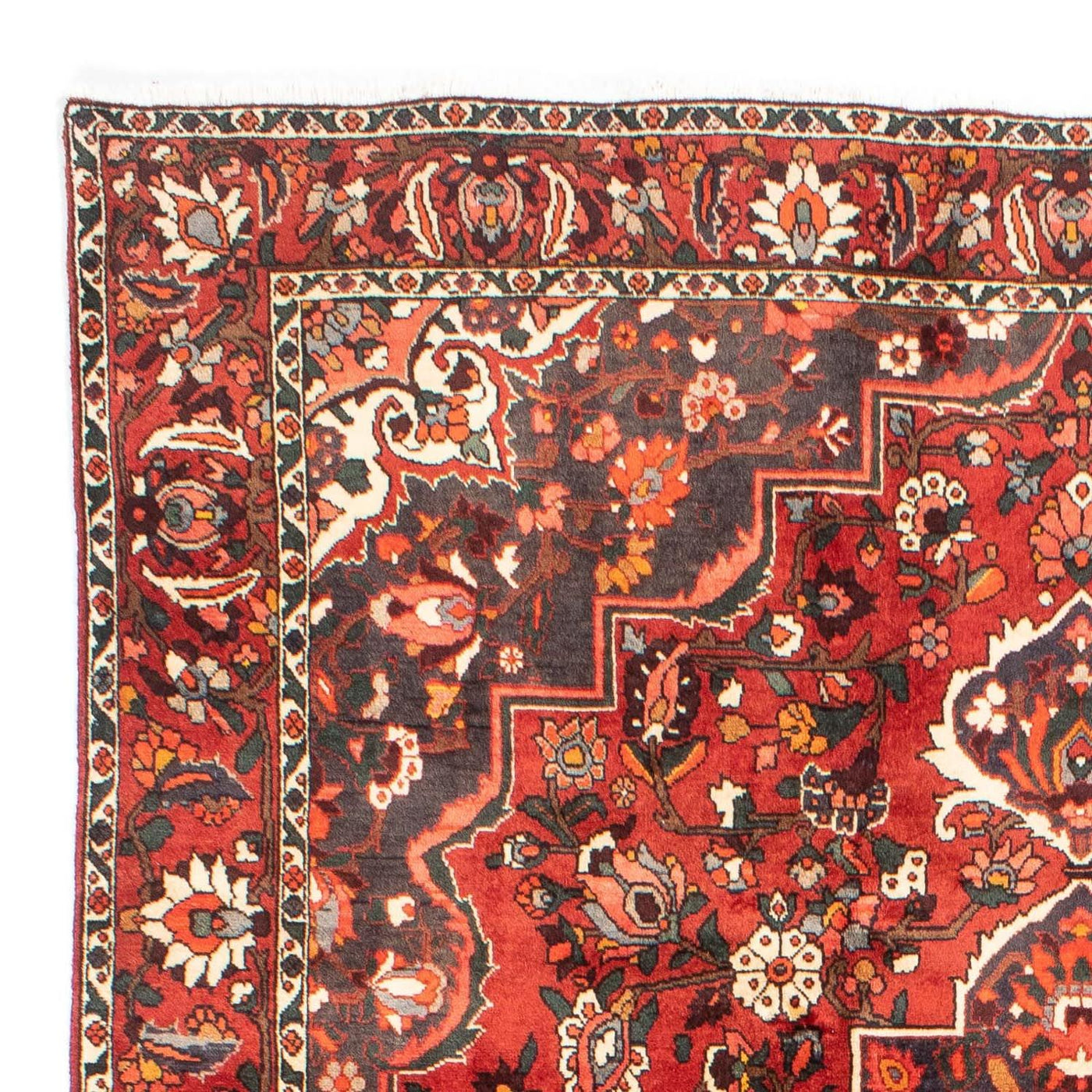 Bakhtiari Mattan 300x207cm - Persisk matta