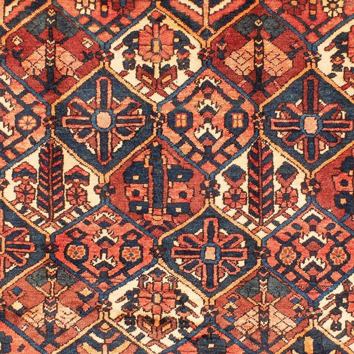 Persisk matta - Nomadic - 313 x 209 cm - ljusröd