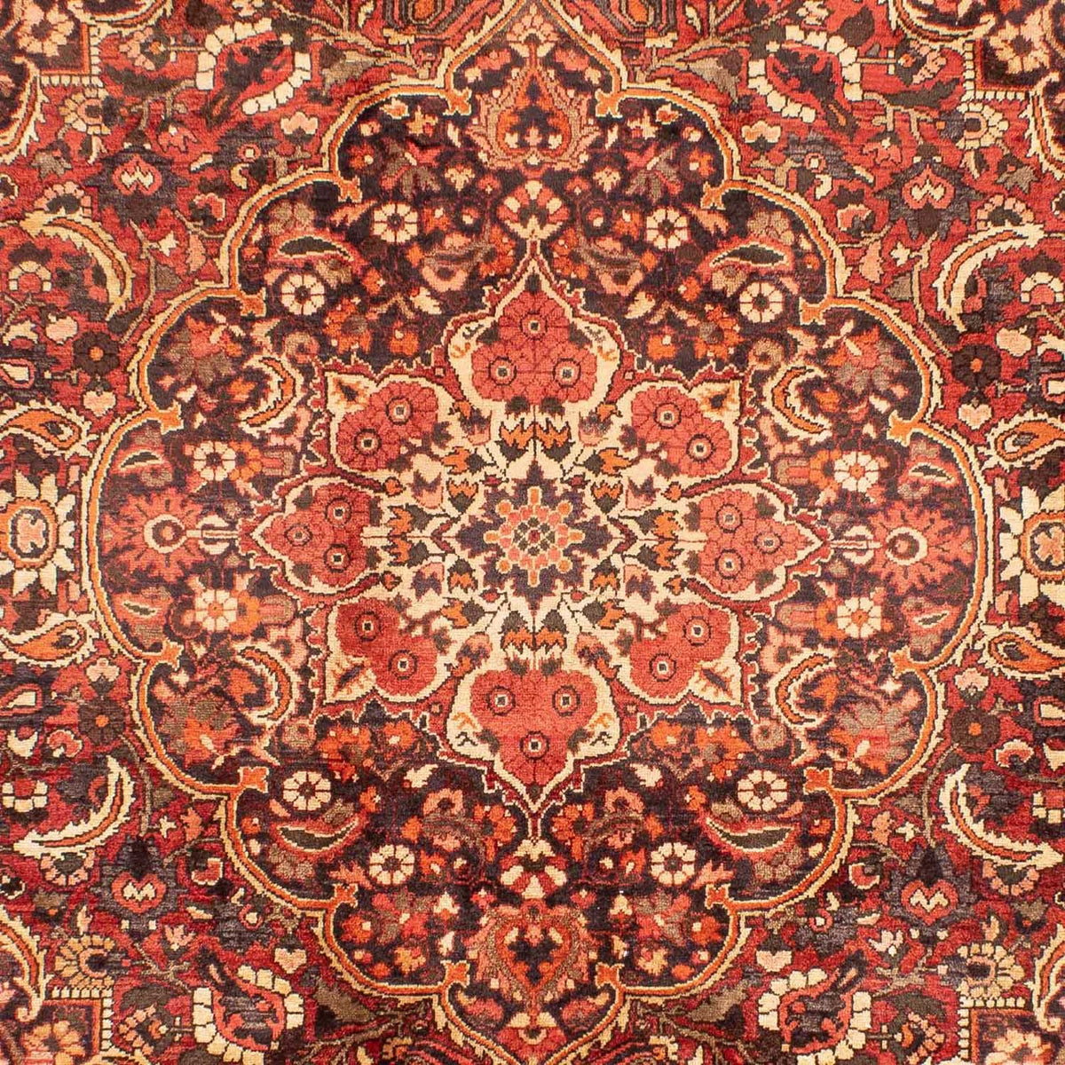 Persisk matta - Nomadic - 297 x 224 cm - röd