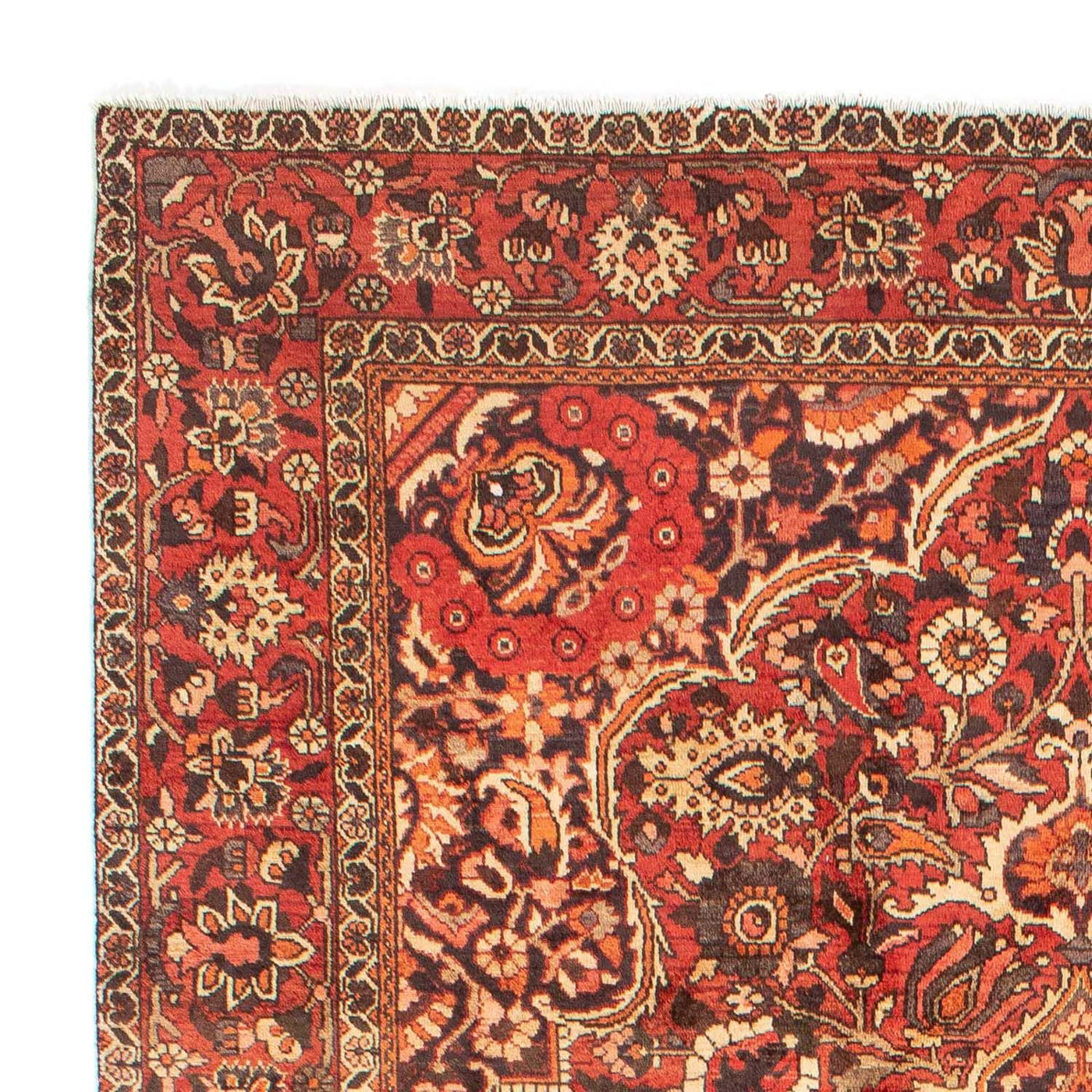 Bakhtiari Mattan 297x224cm - Persisk matta