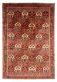 Persisk matta - Nomadic - 297 x 205 cm - brun